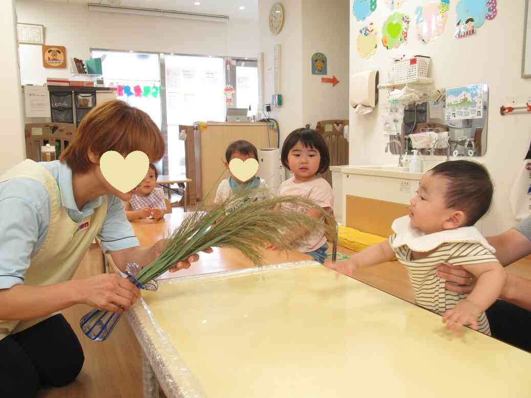秋ですね~♪
