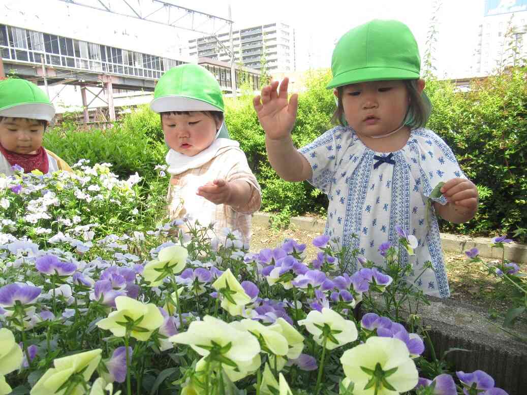 きれいなお花がいっぱいだね♪