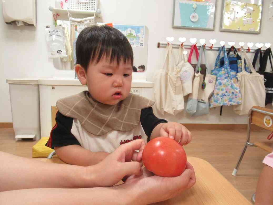 7月の食育活動～♪