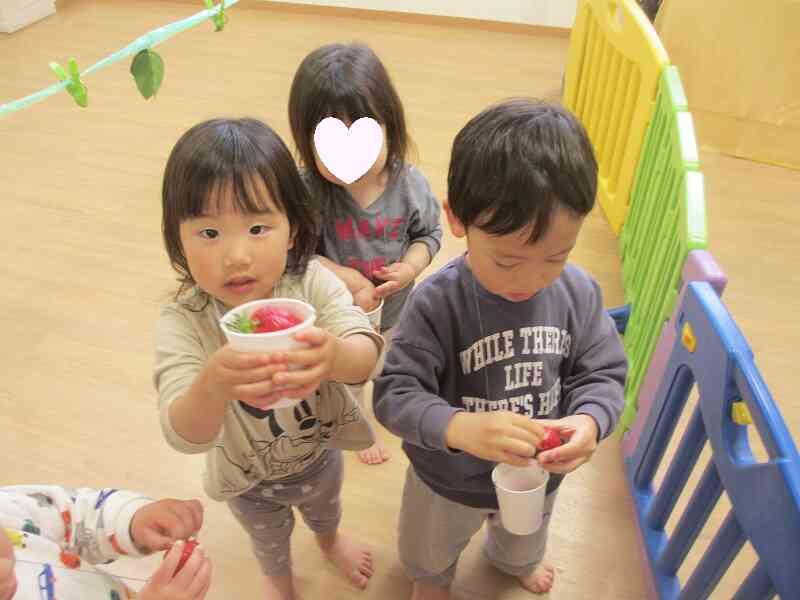 ４月の食育（いちご狩り）