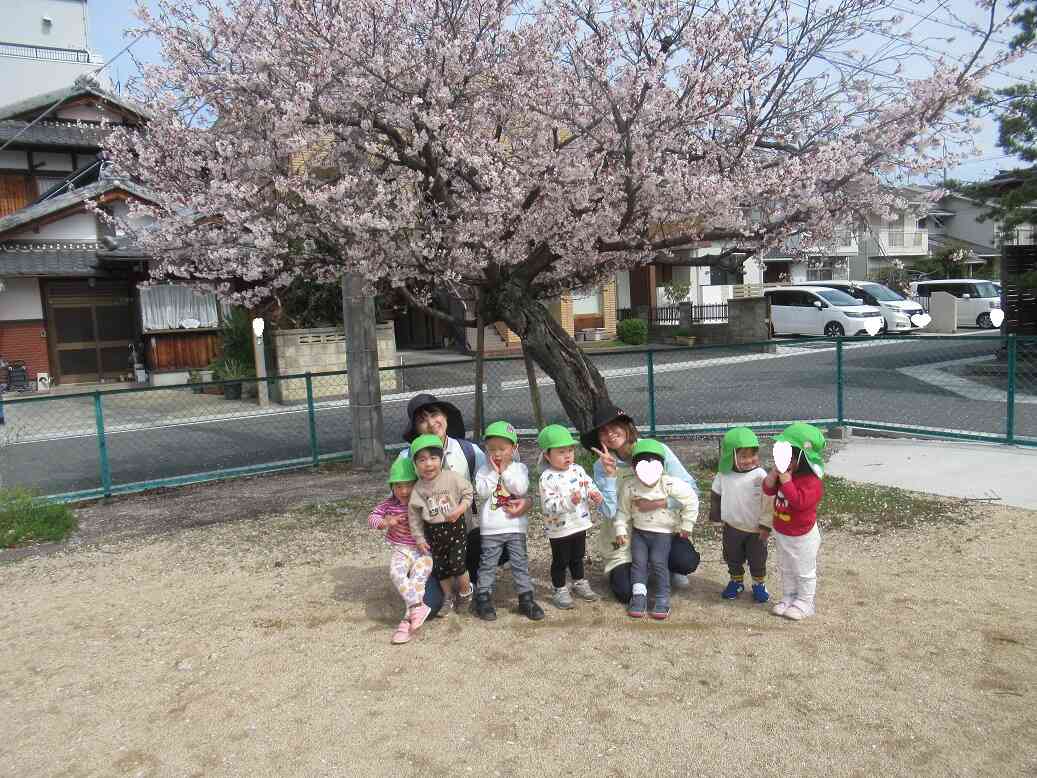 桜の木の下で～♡