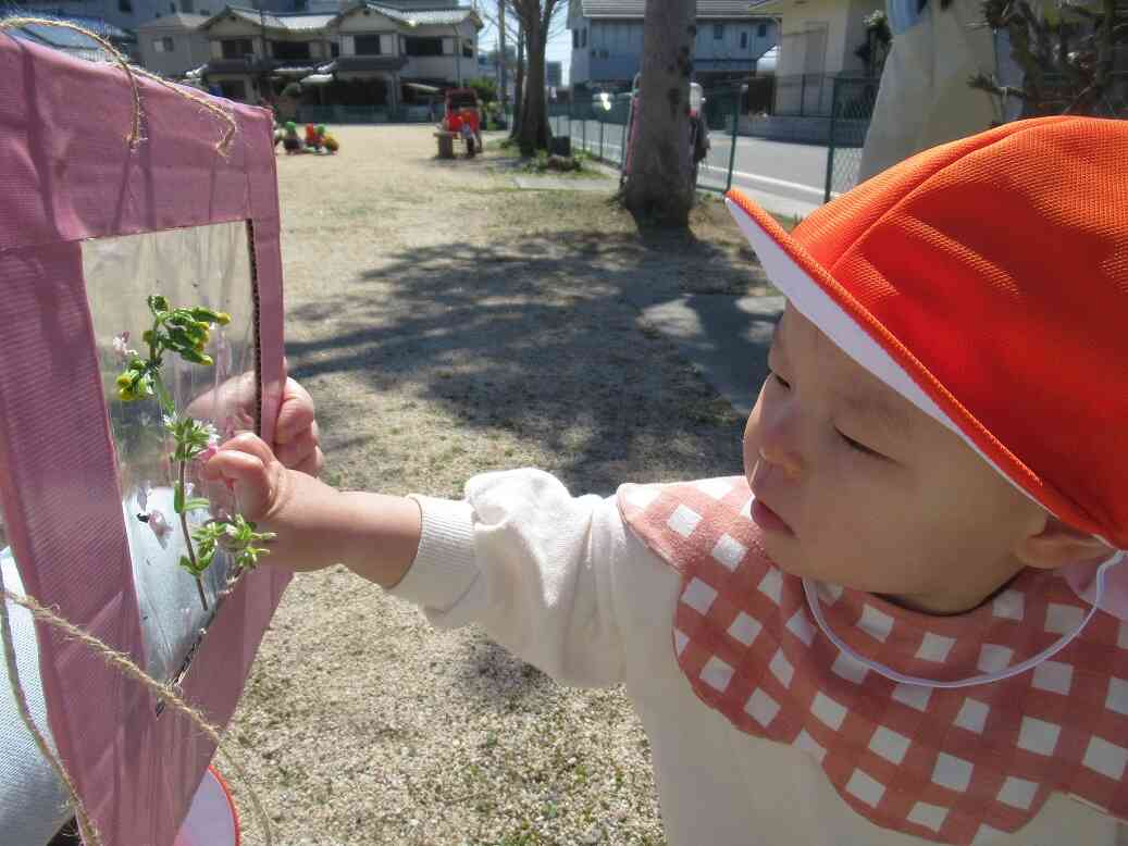 ステキなフレームに～♪