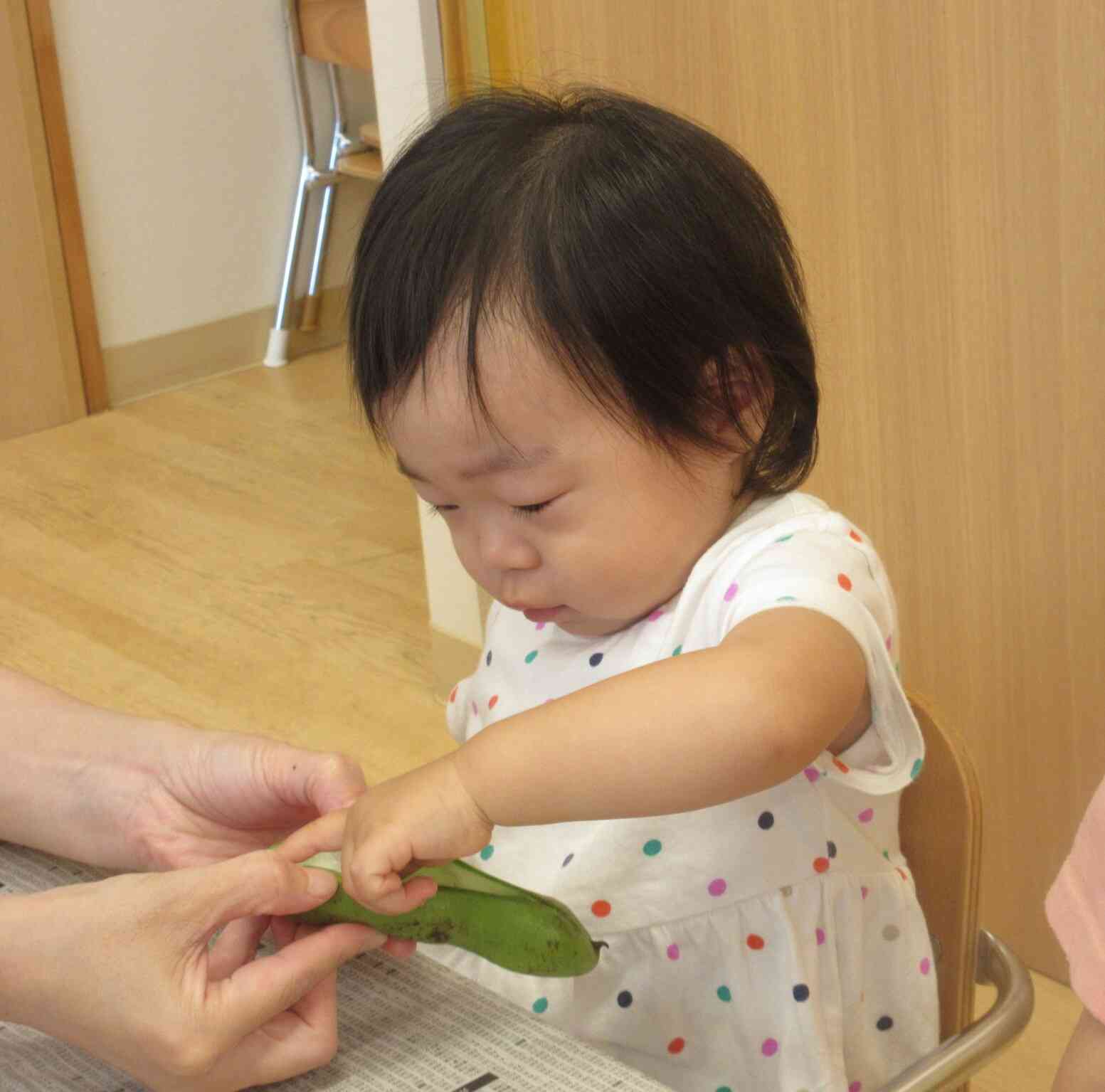 あった！これかな？