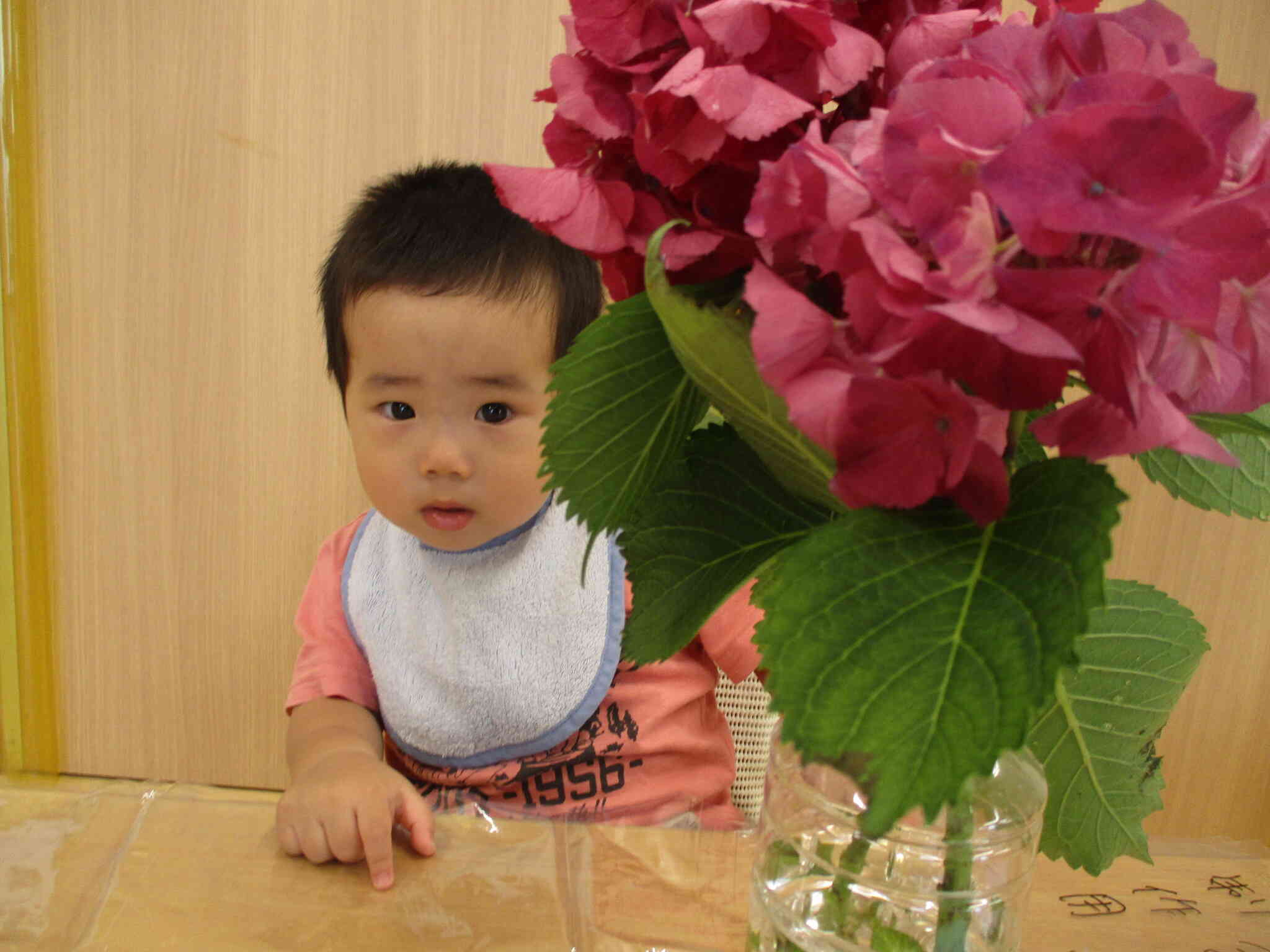 ６月の製作～１歳児～