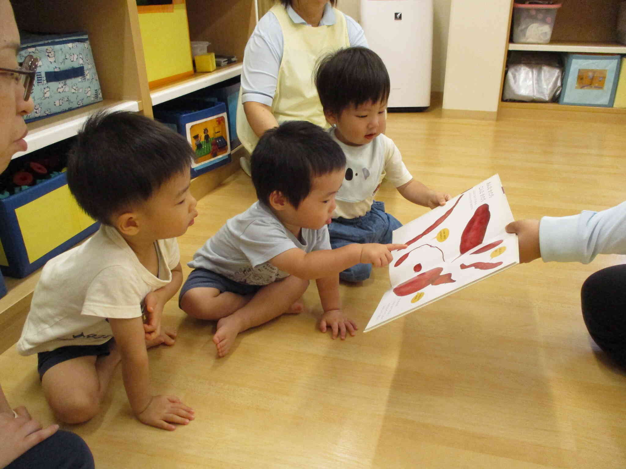 これ見たことある！！