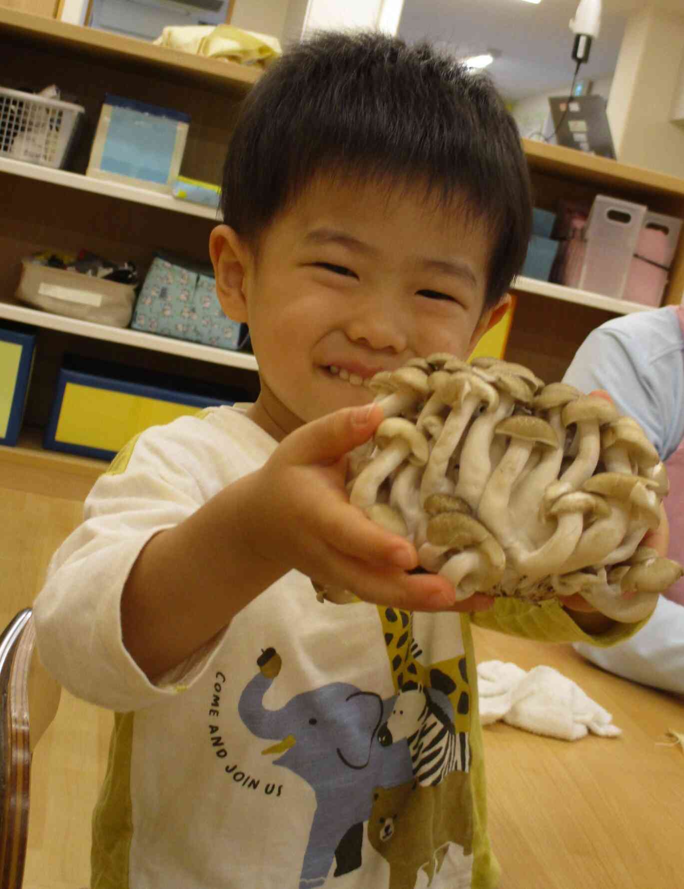 大きなしめじ、見て～～～！