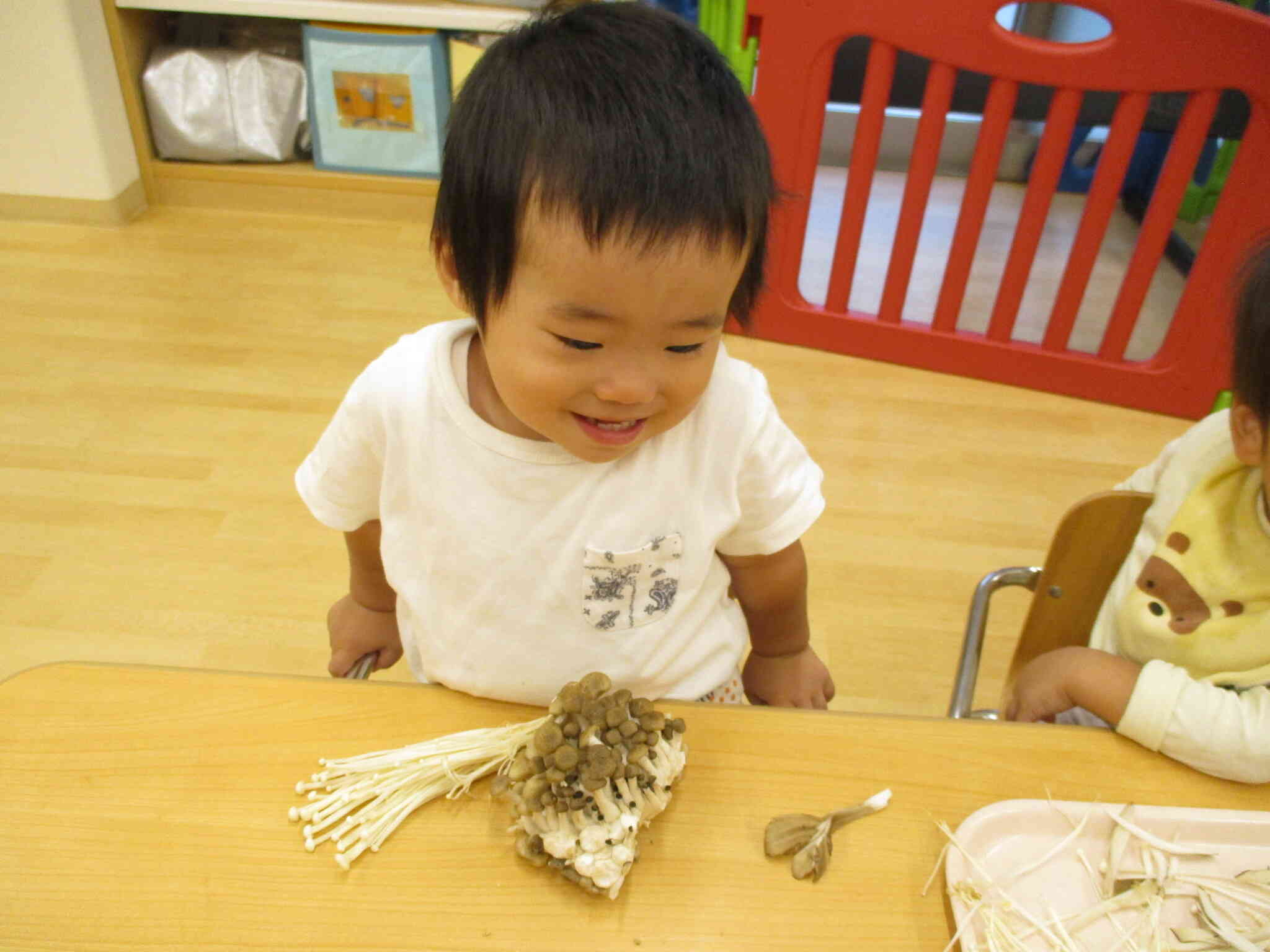 ぼくの前にはたくさんのきのこ☆