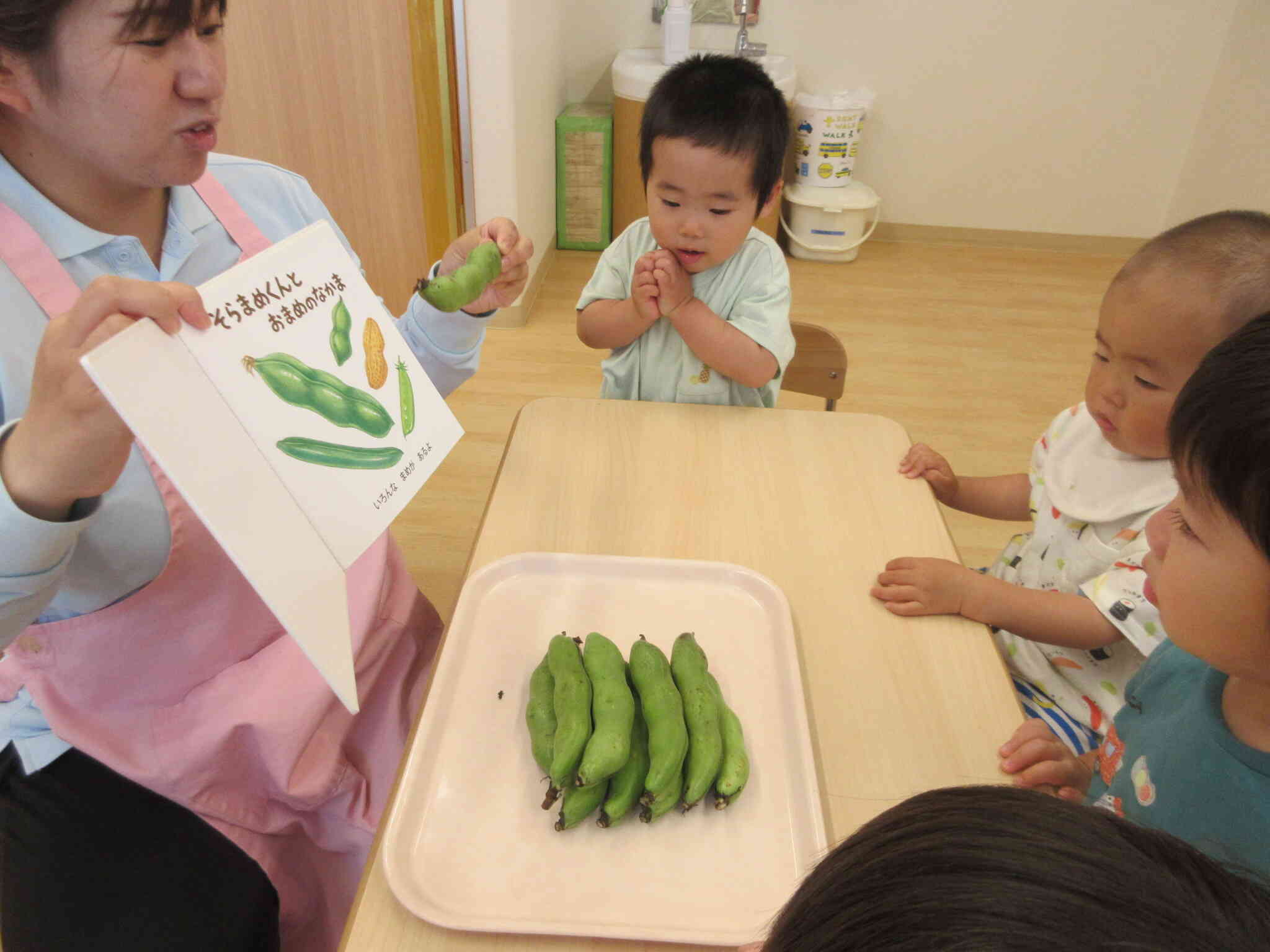 食育：これなに？そら豆だって！
