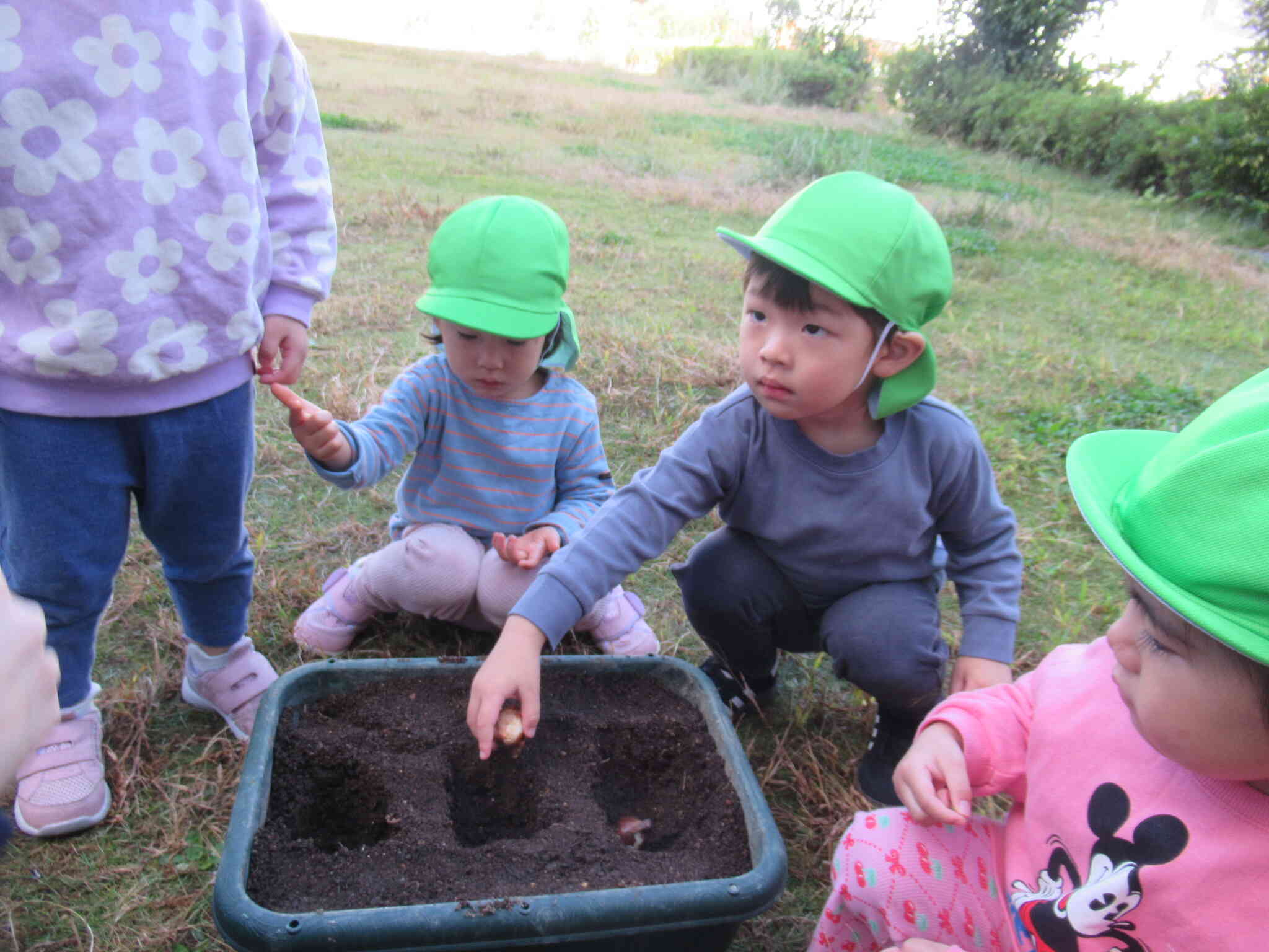 ２歳児クラス チューリップを植えよう☆