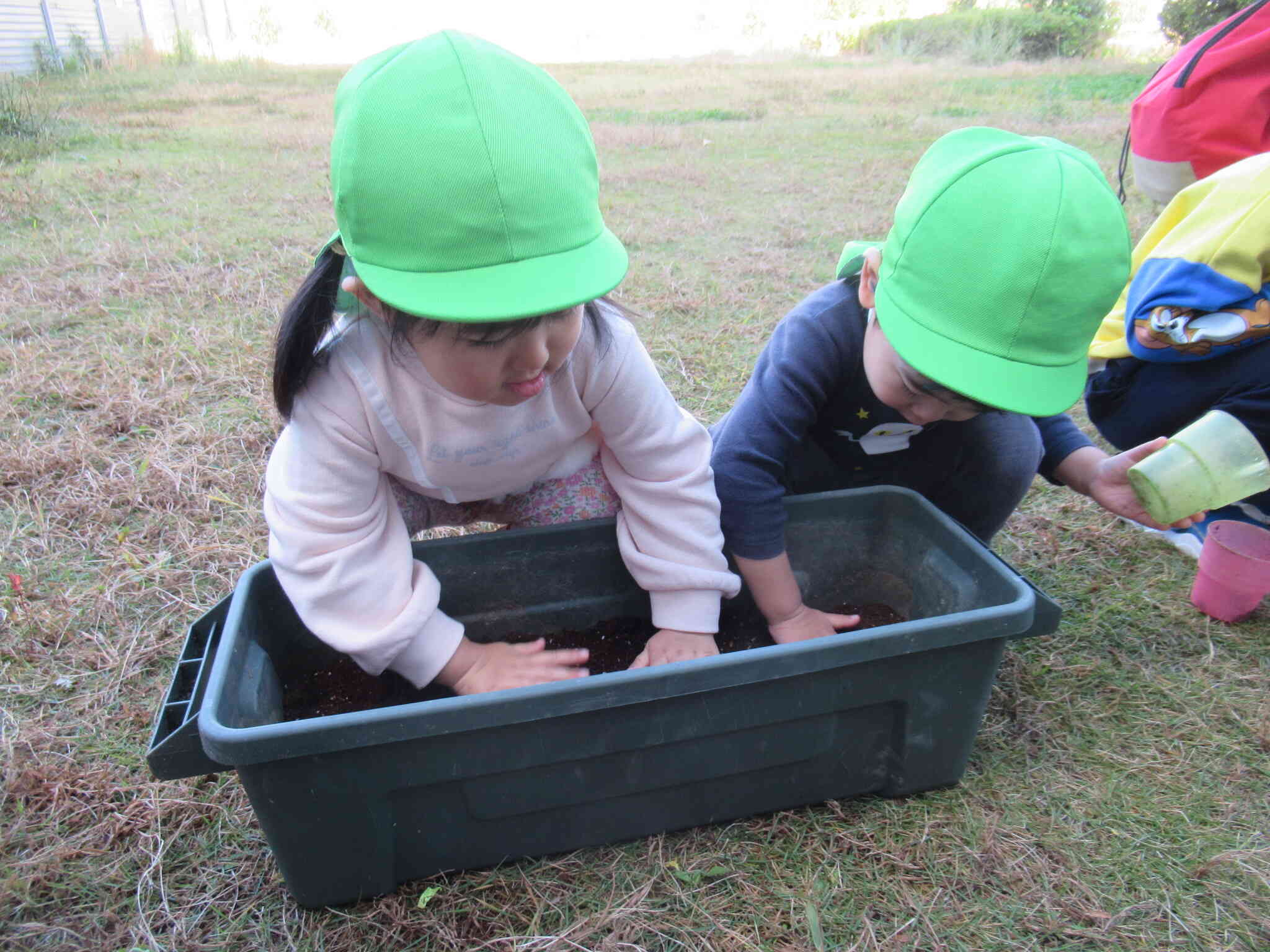 球根を植えるよ！