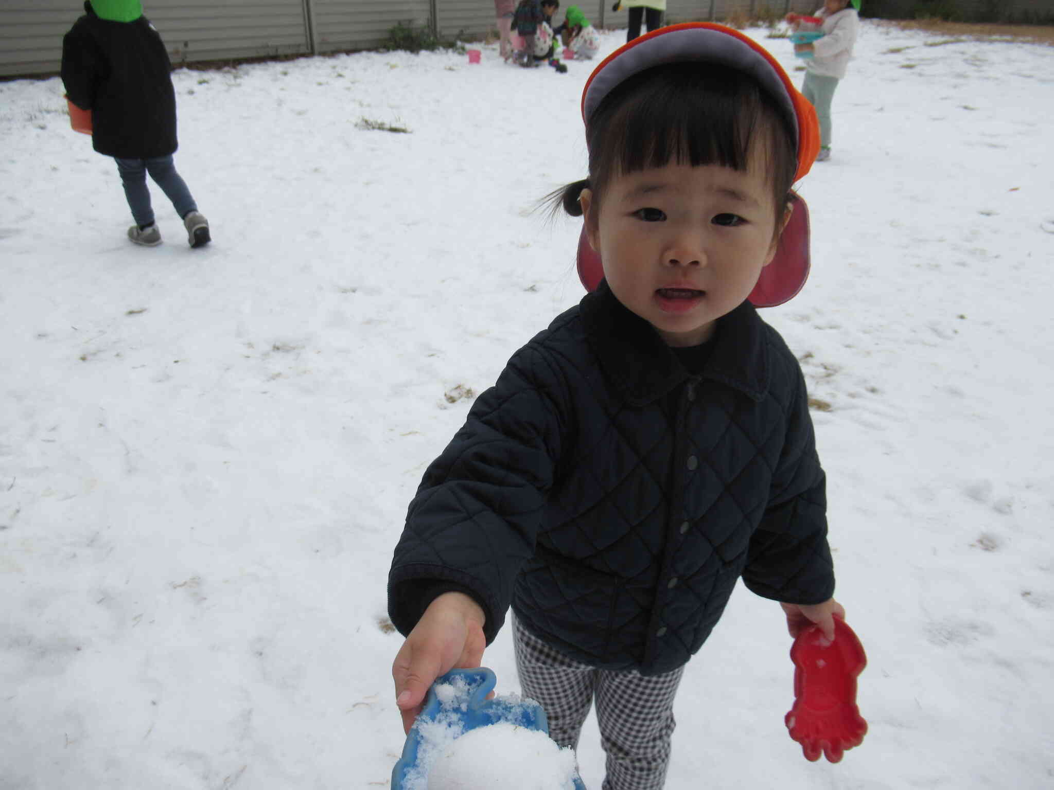 はい、どーぞ！