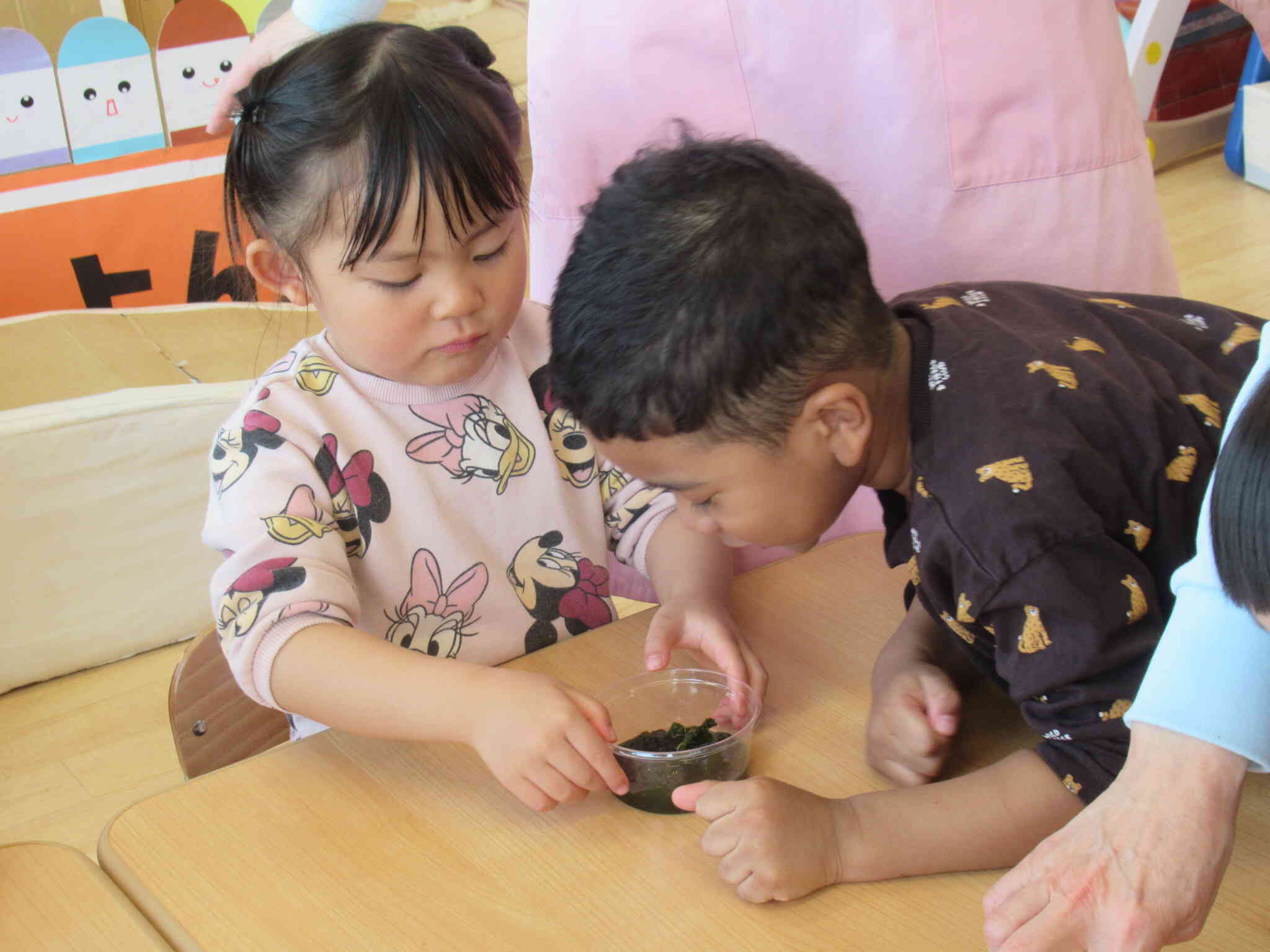 ワカメだ！大きくなってる！