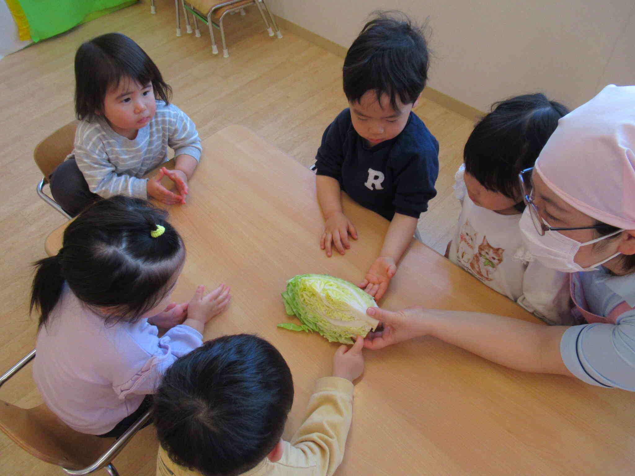 キャベツの中身はどうなっているの？