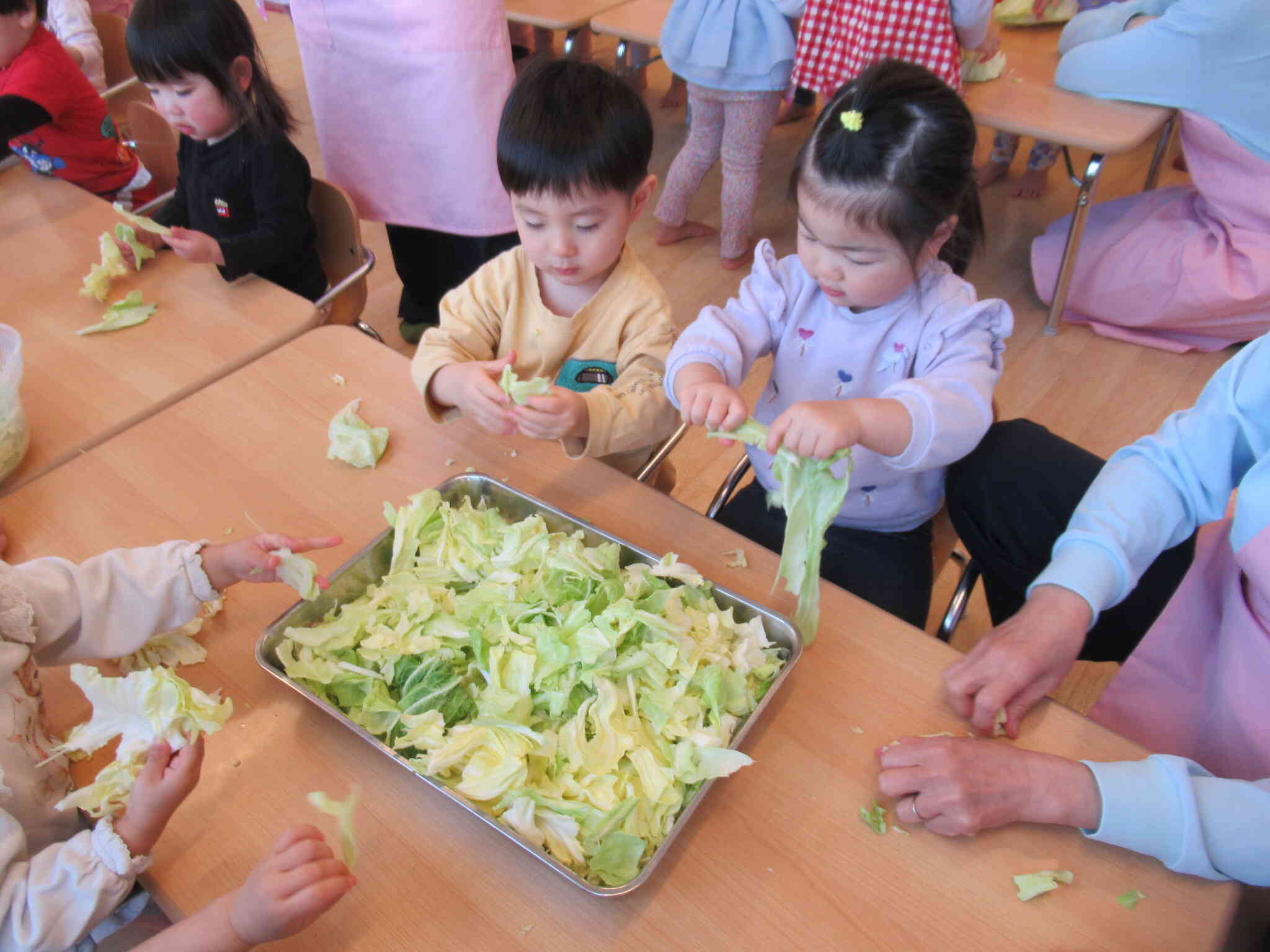 キャベツをちぎろう！