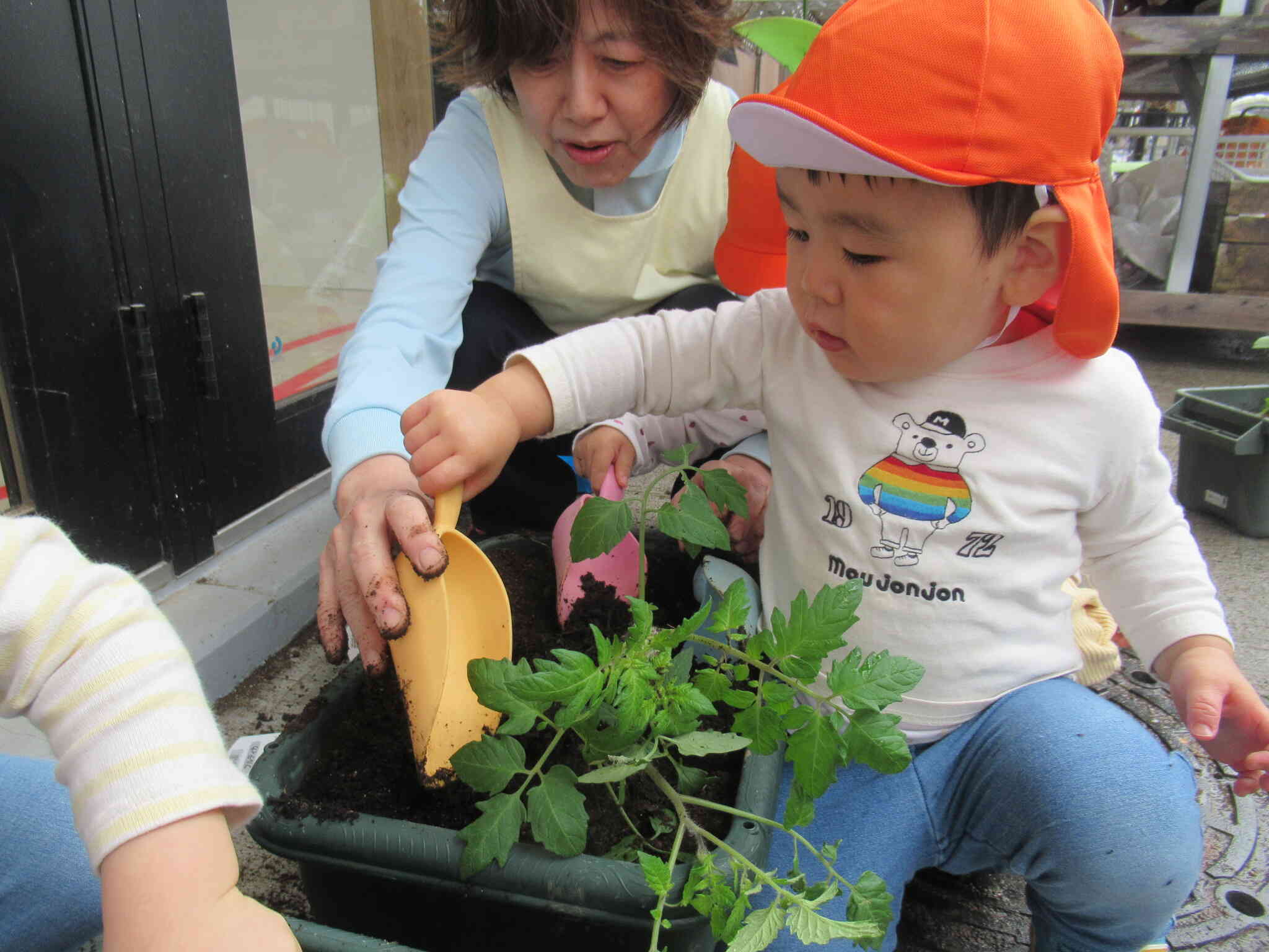 苗を植えるぞ～！