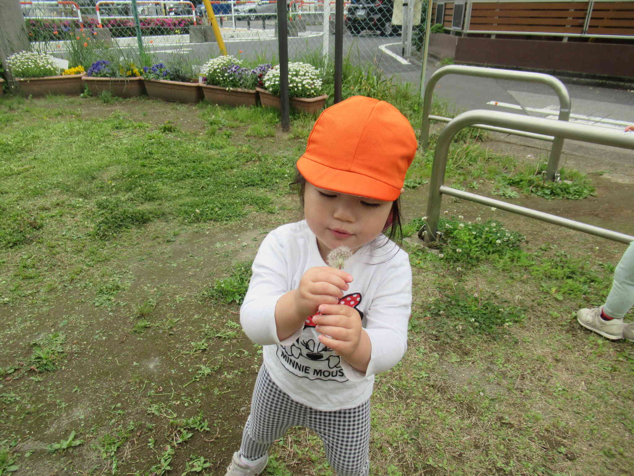 ふーっふーっ 飛ぶかな？
