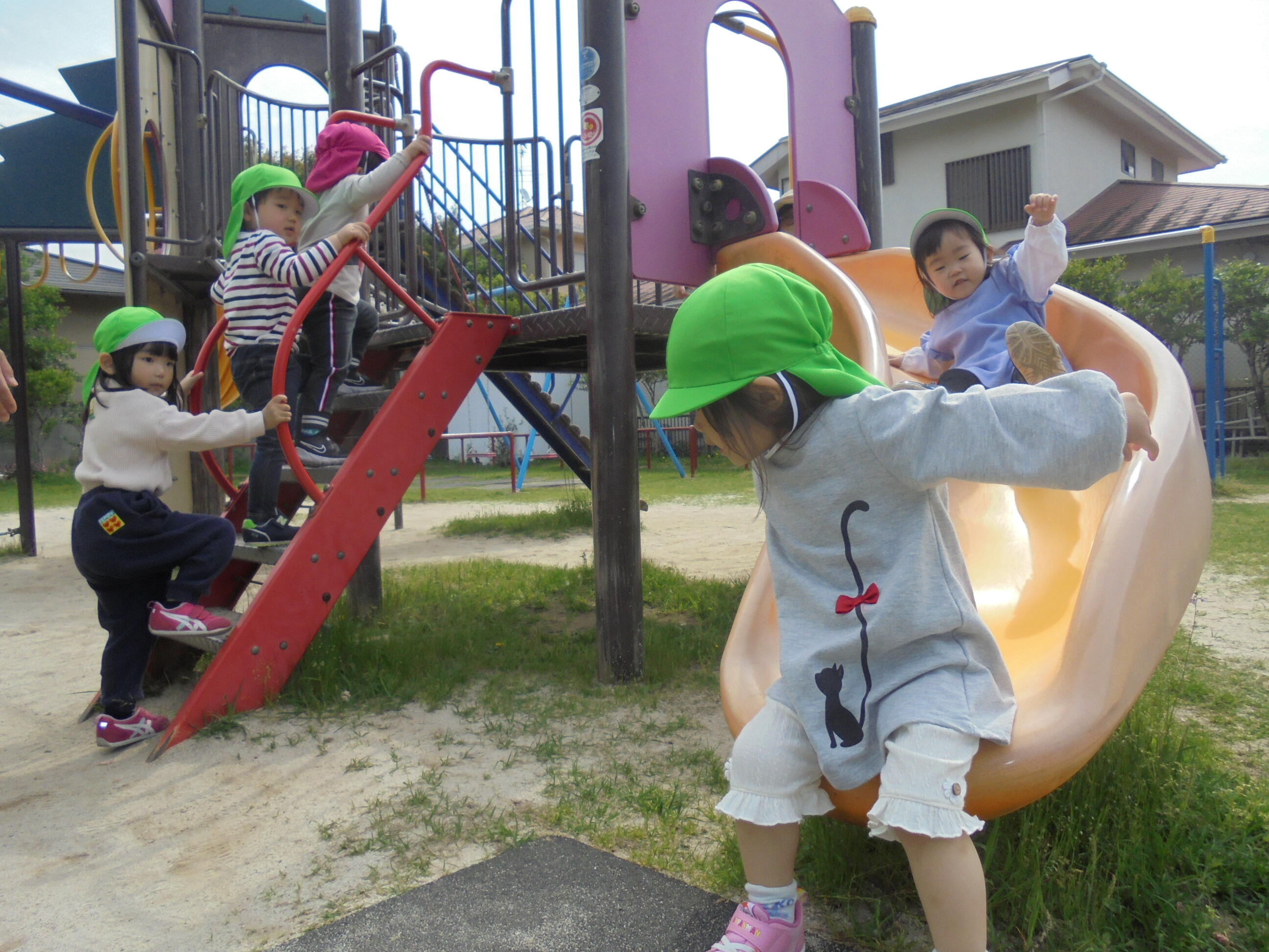 公園、楽しいね！（あひる、うさぎ組１、２歳児）