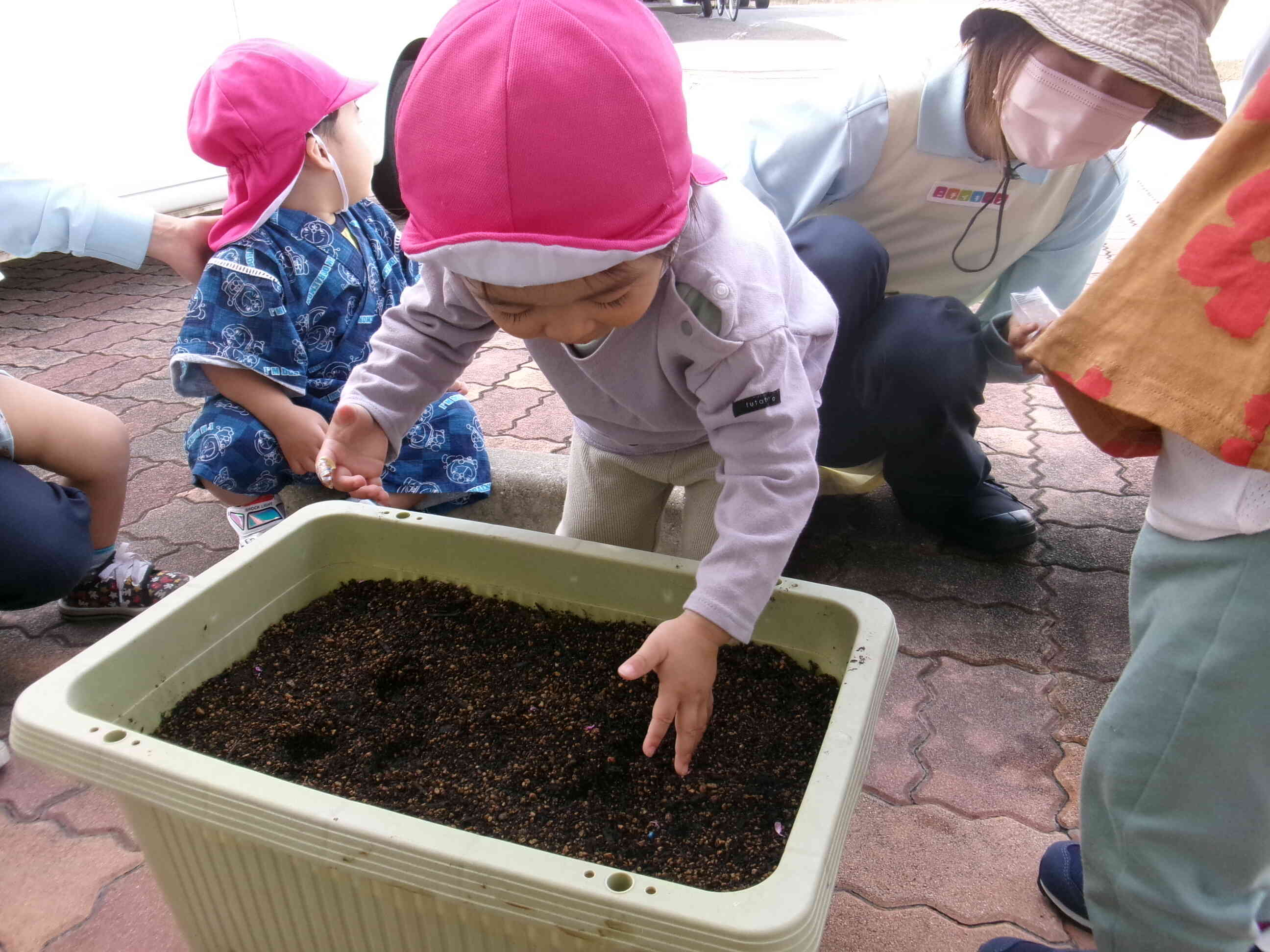 ピーマンの苗植え、オクラの種まきしたよ！(食育1.2歳児)