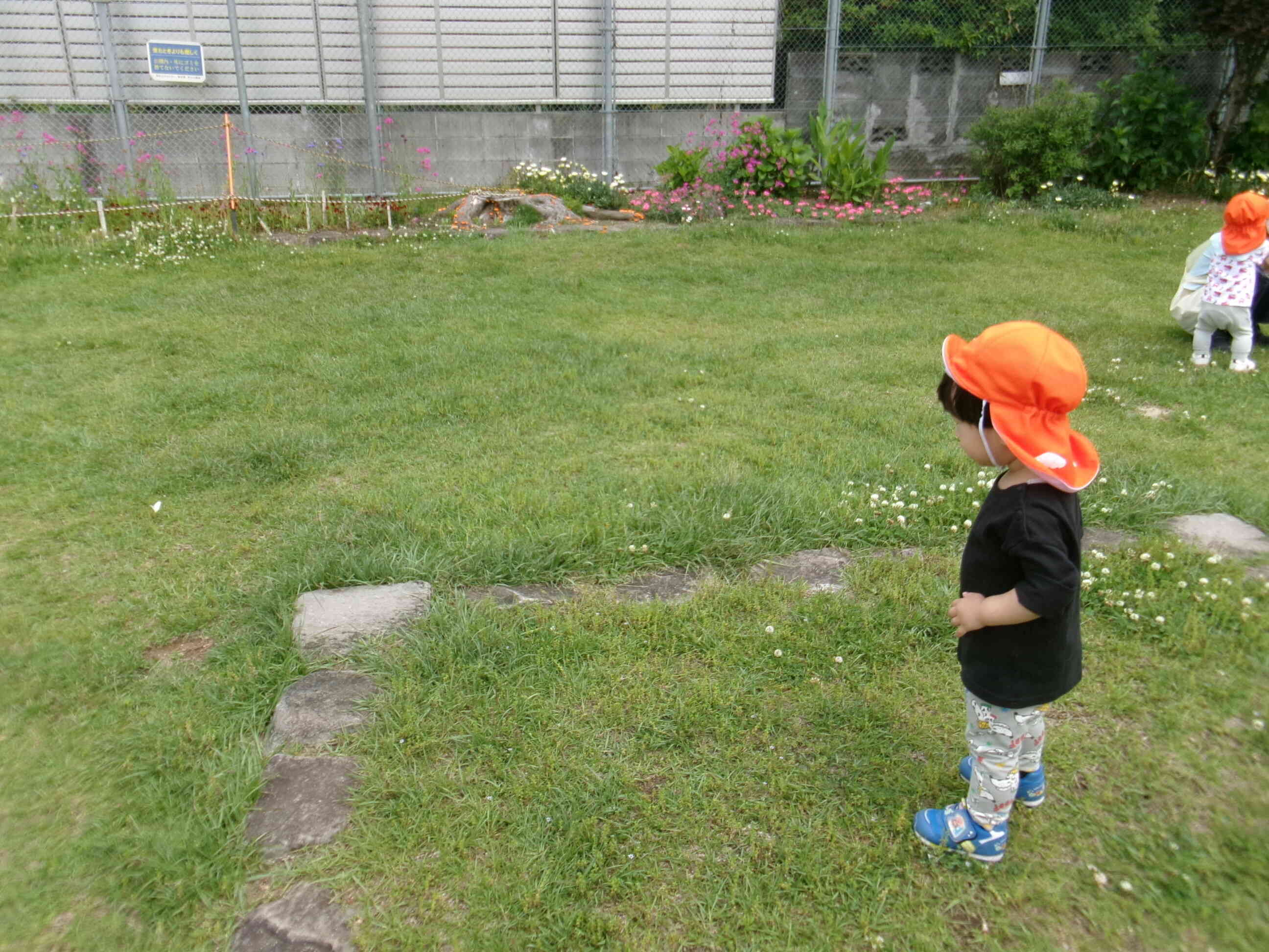 「ちょうちょ！いた！」