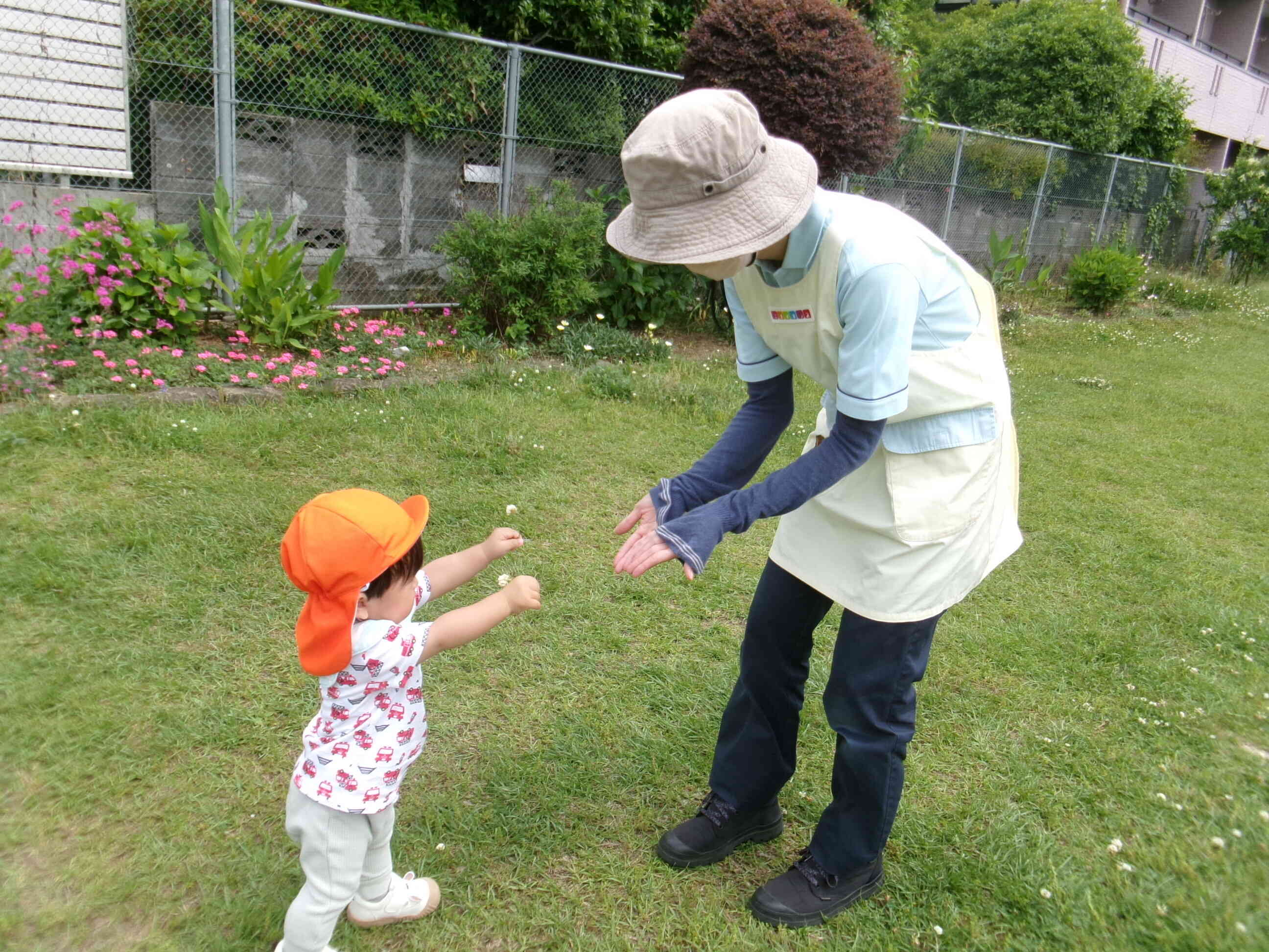 先生にシロツメクサあげるね。