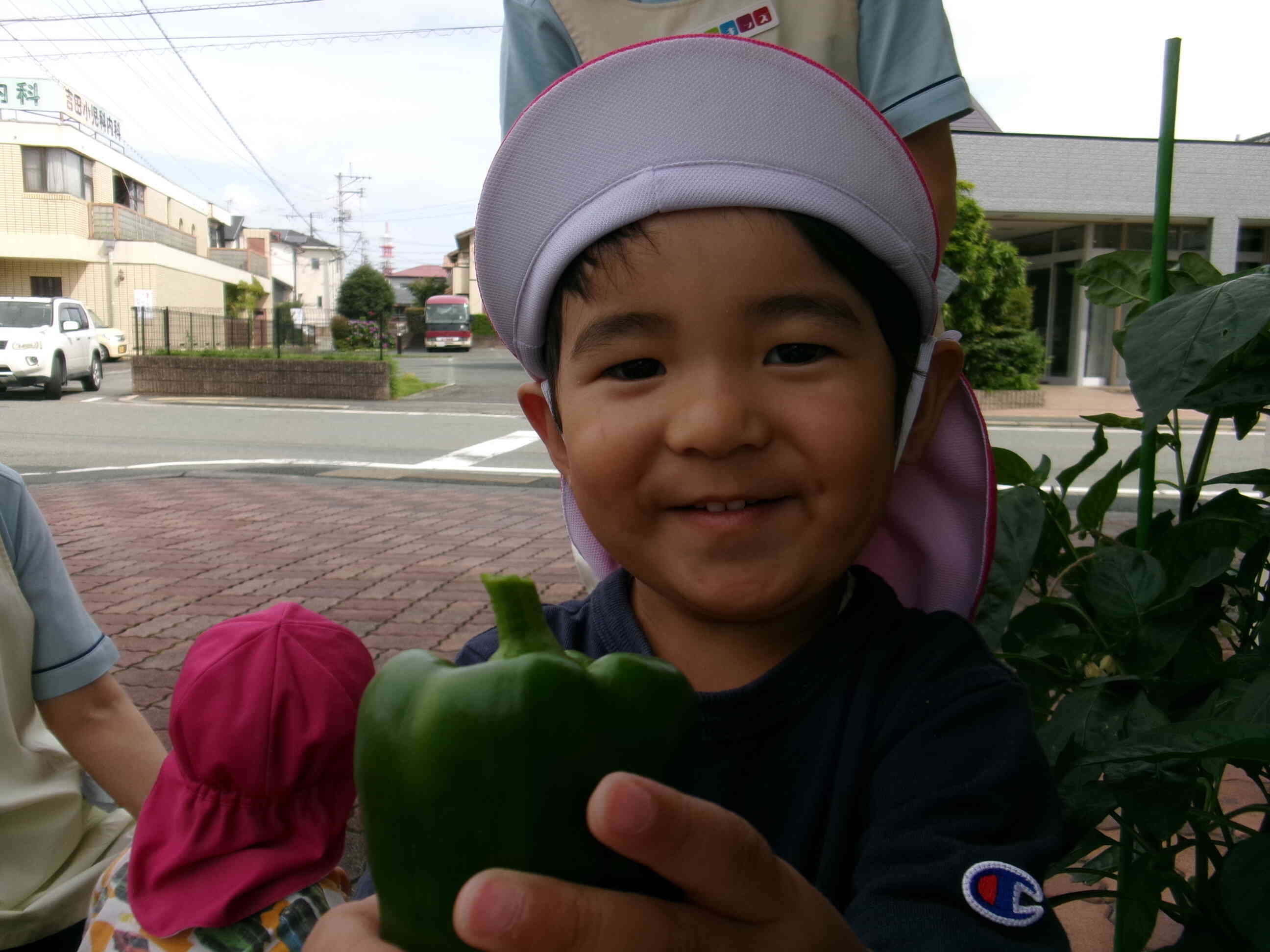 収穫！！（2歳児）