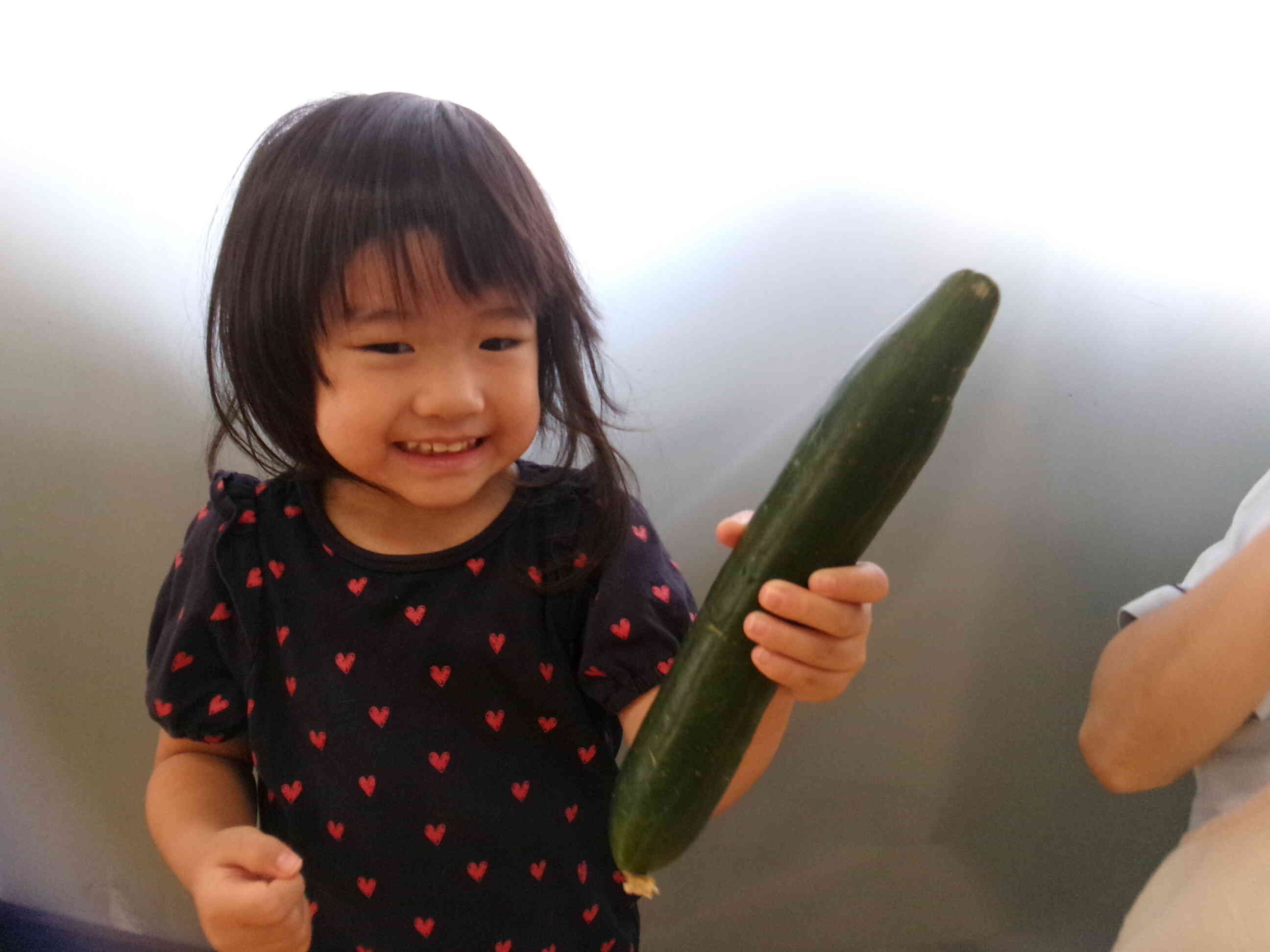 食育～野菜に触れてみよう～(1.2歳児)