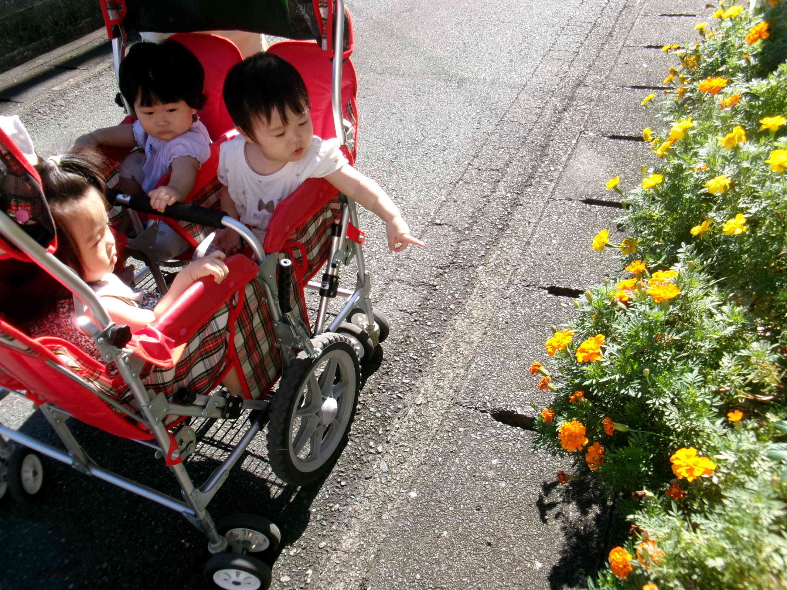 おさんぽ（0歳児）