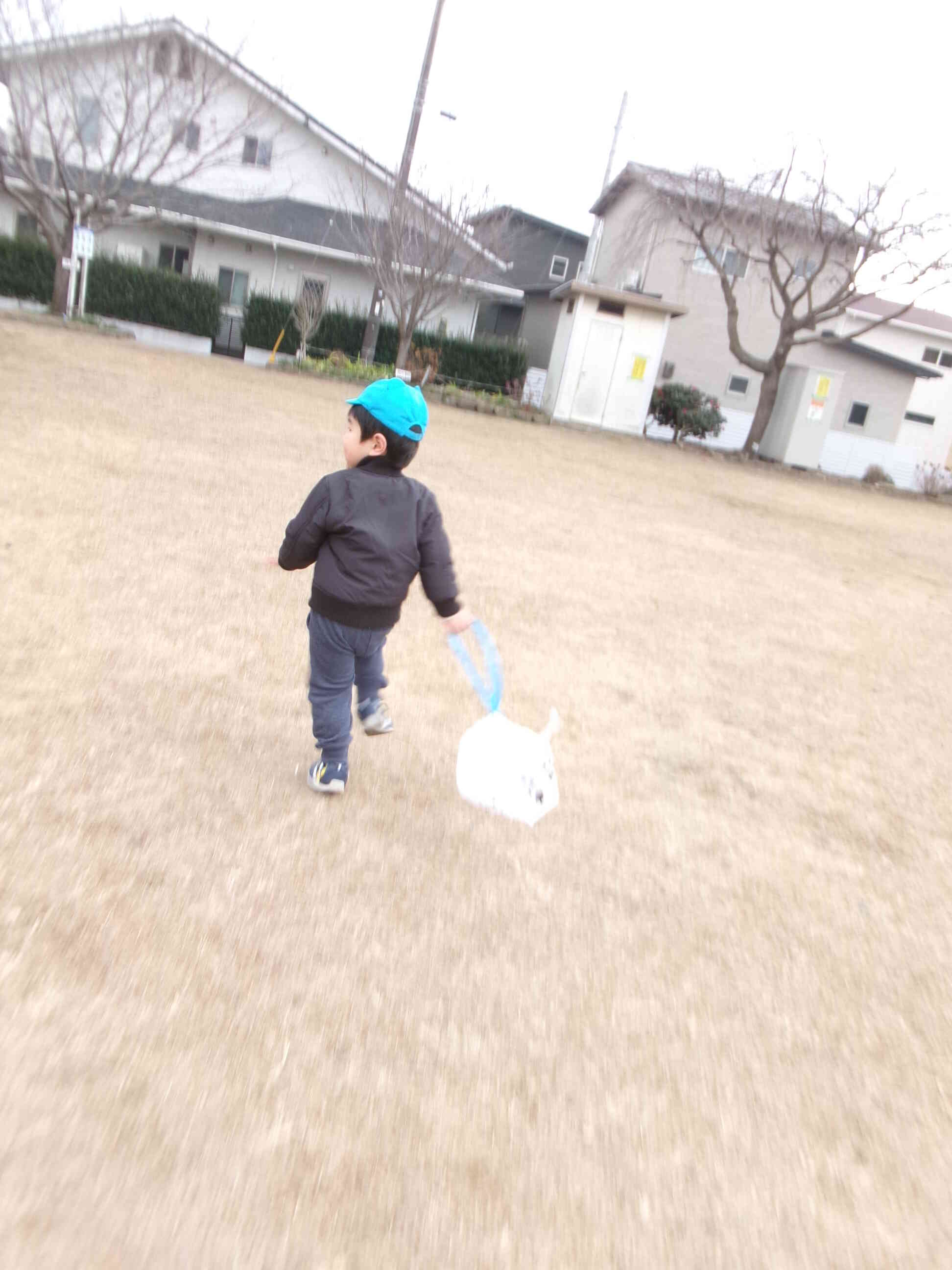 「たこあがれー！」