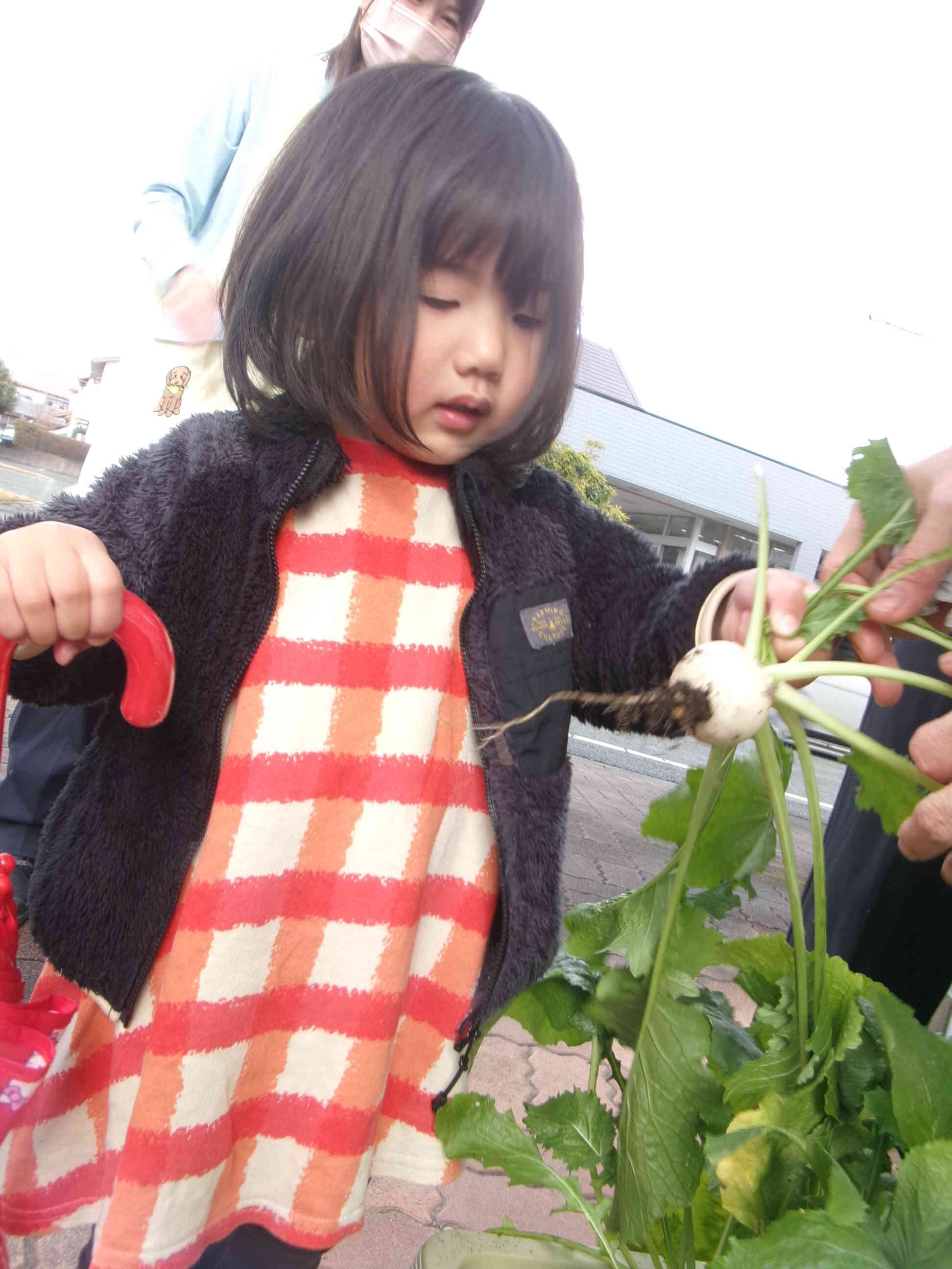 「うんとこしょ、どっこいしょ」