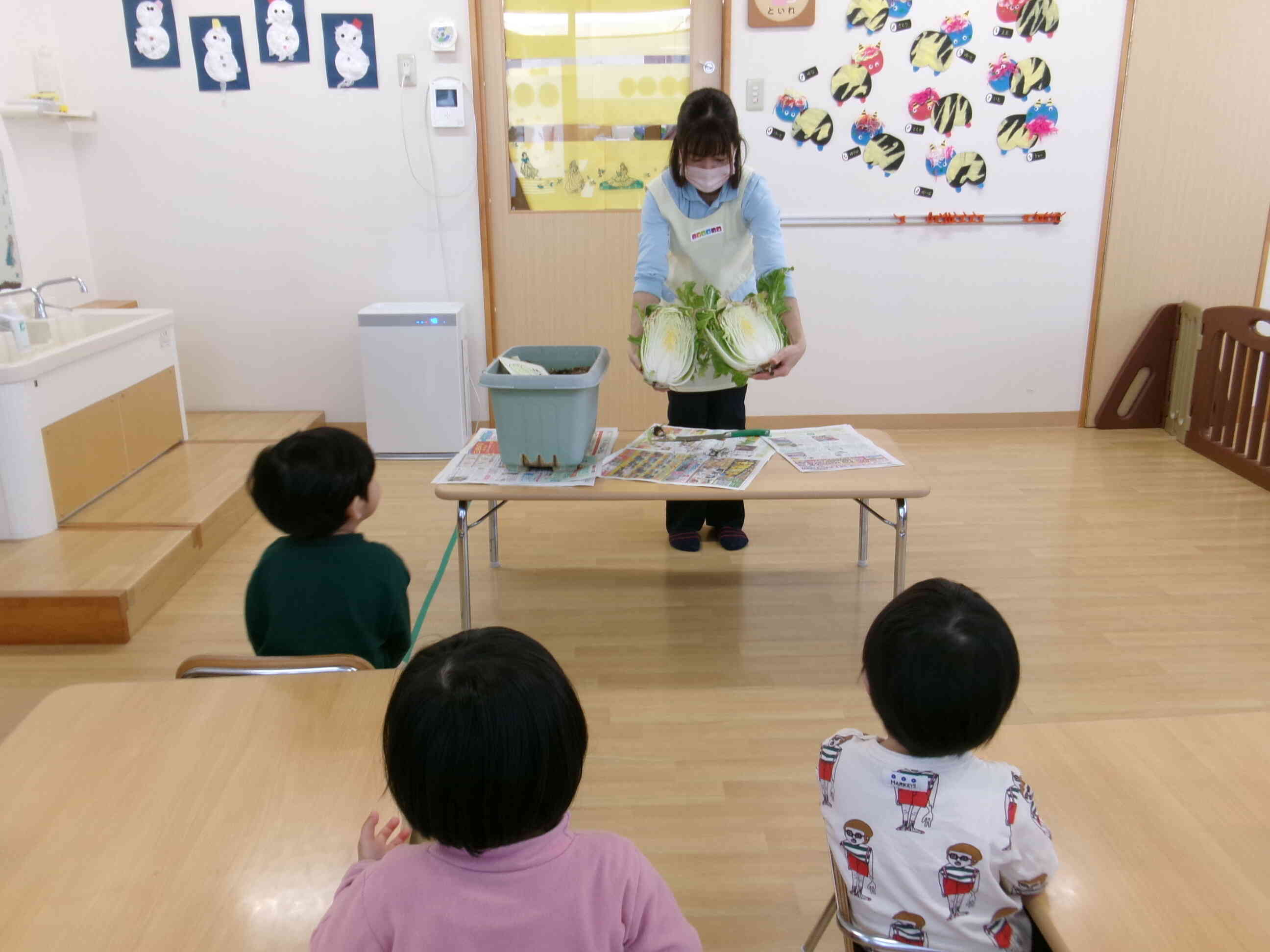 白菜の収穫をしました！(1.2歳児)