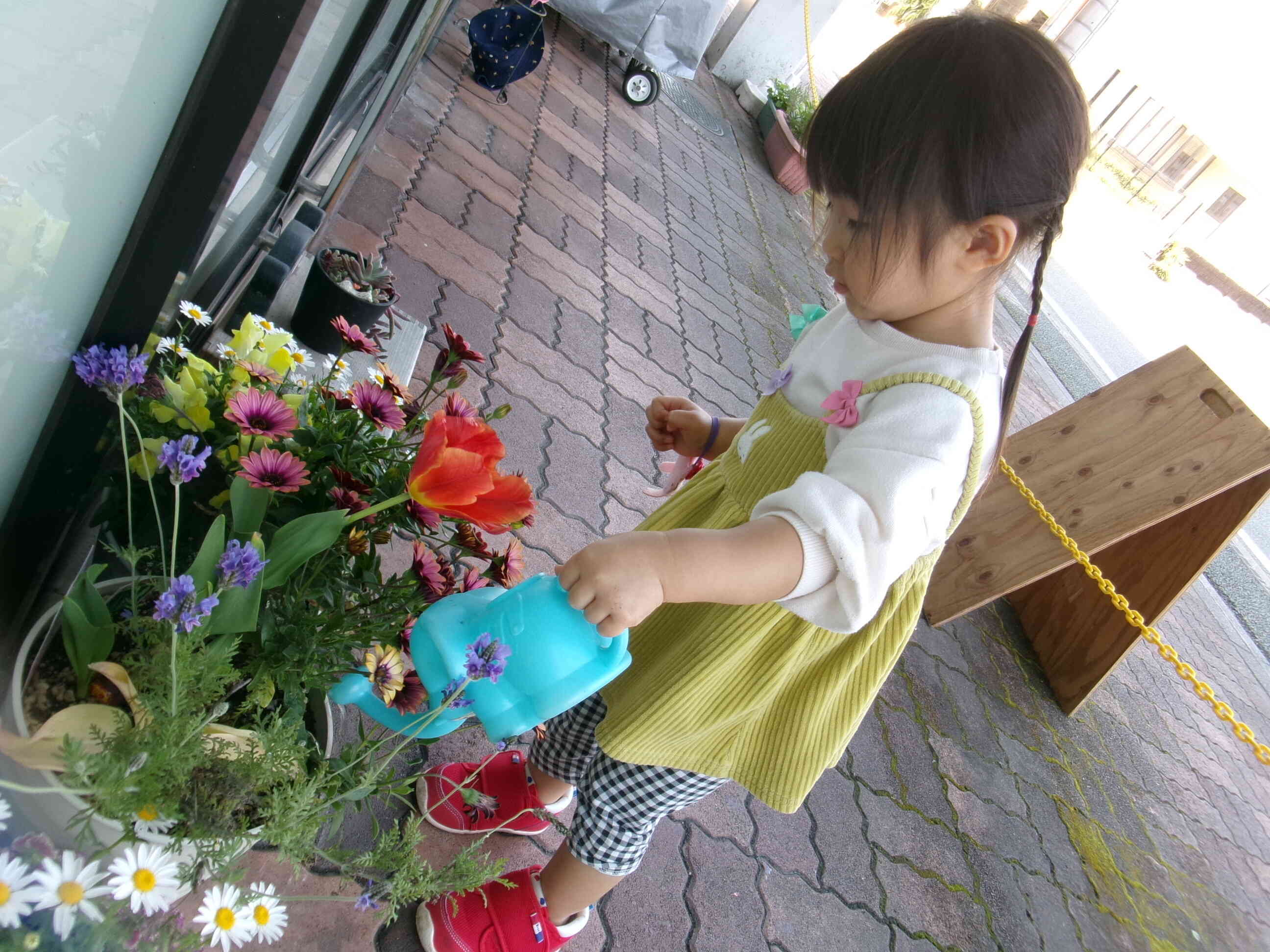 「大きくなあれ！」