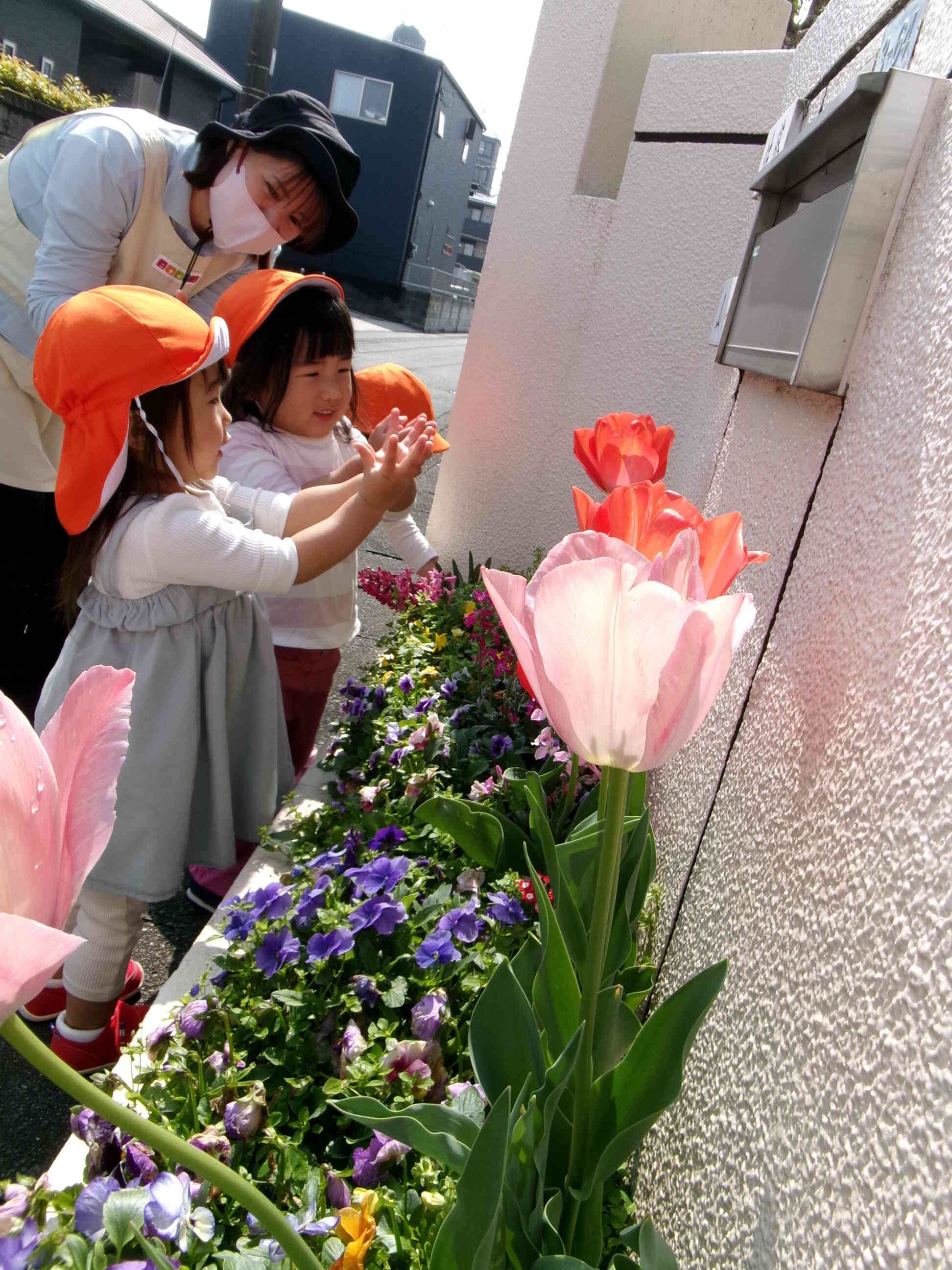 みんなでお散歩