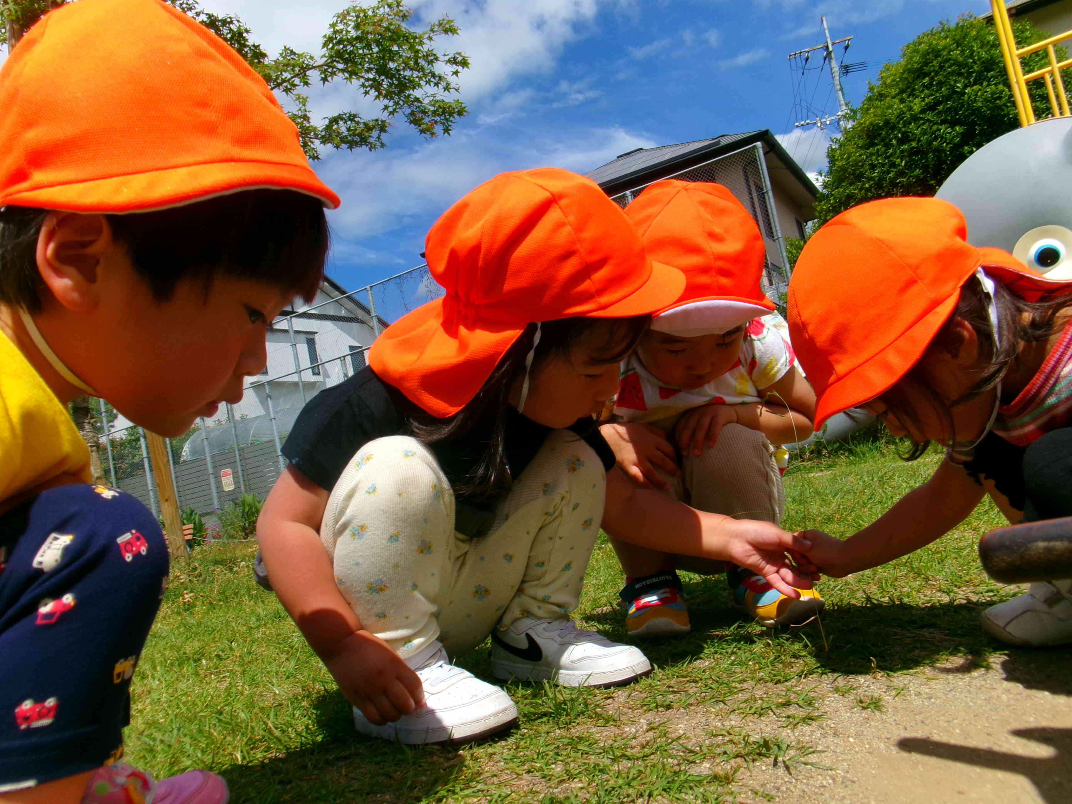 みーつけた！公園遊び(2歳児)