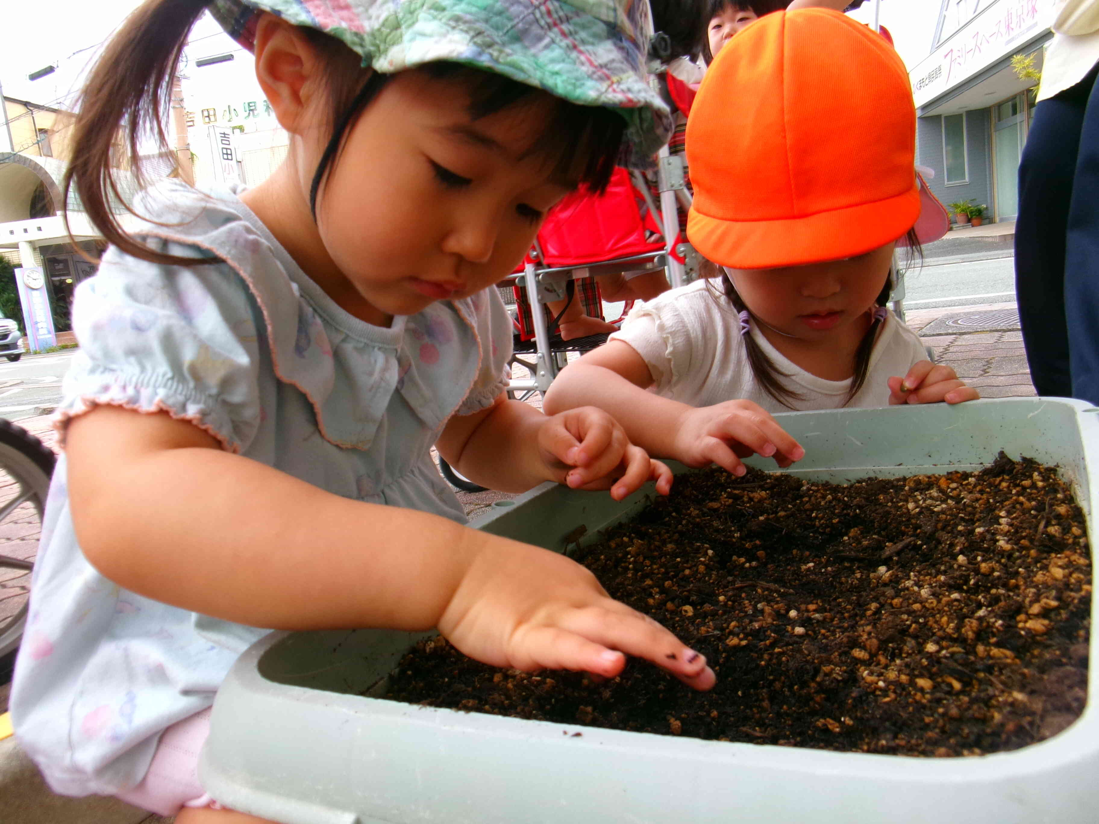 5月の食育（1，2歳児）｜ニチイキッズおのうえ保育園｜ニチイキッズ