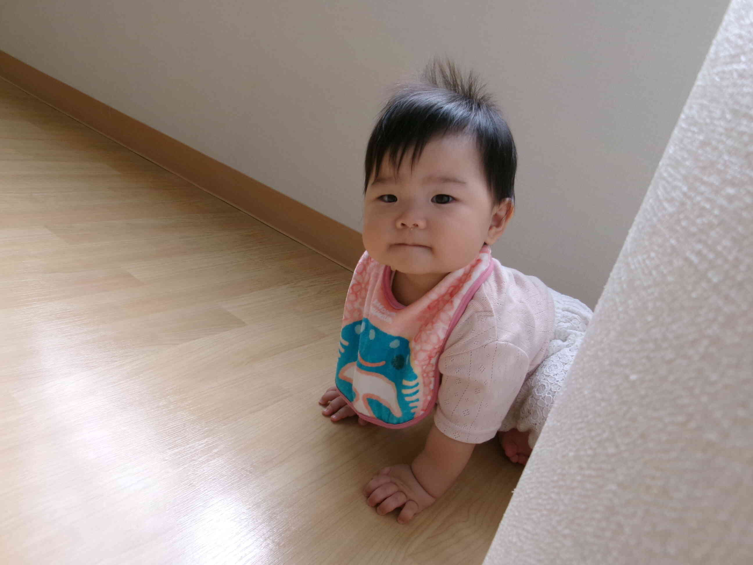 新しいおともだち（０歳児）