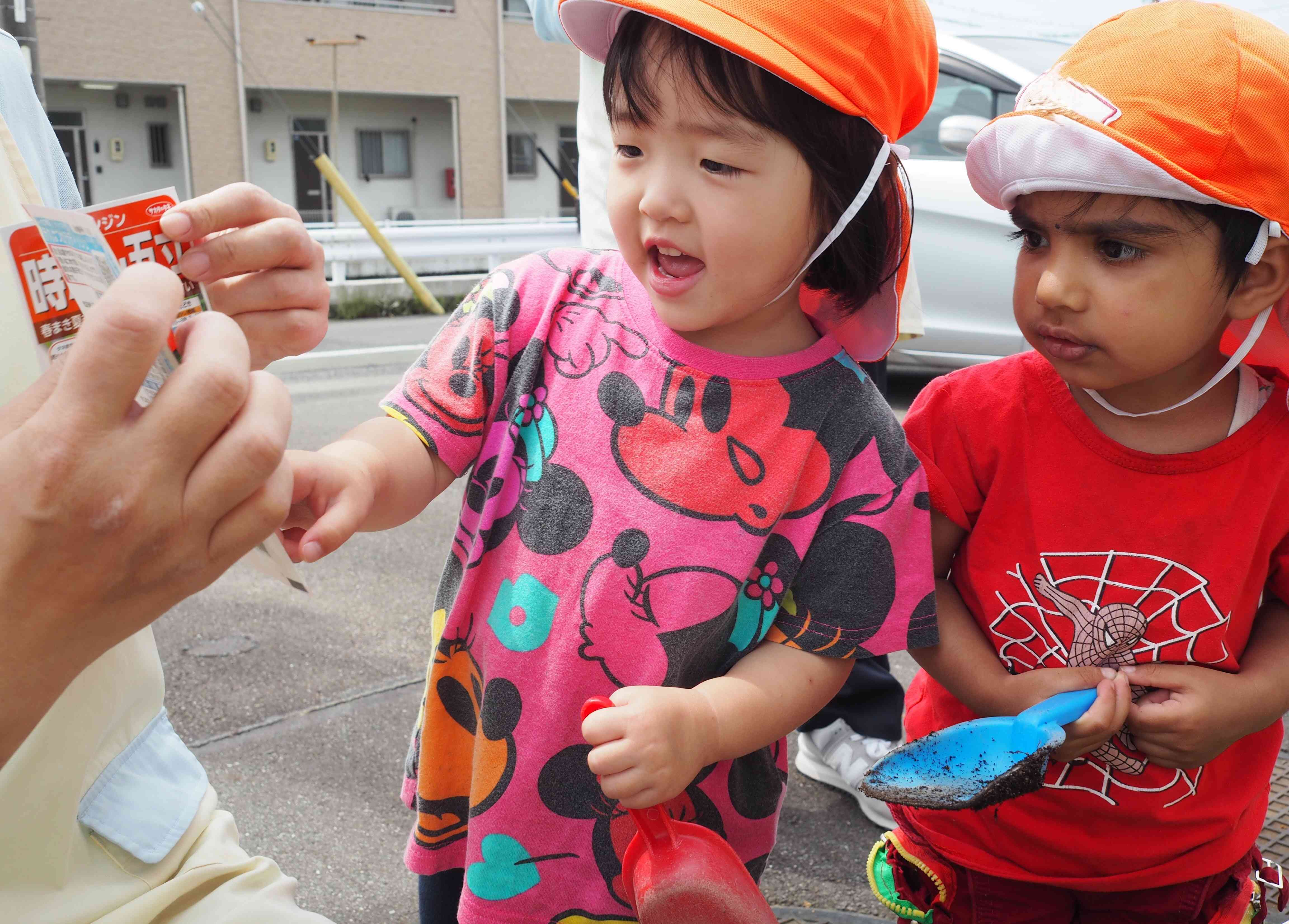 二十日大根それとも人参？