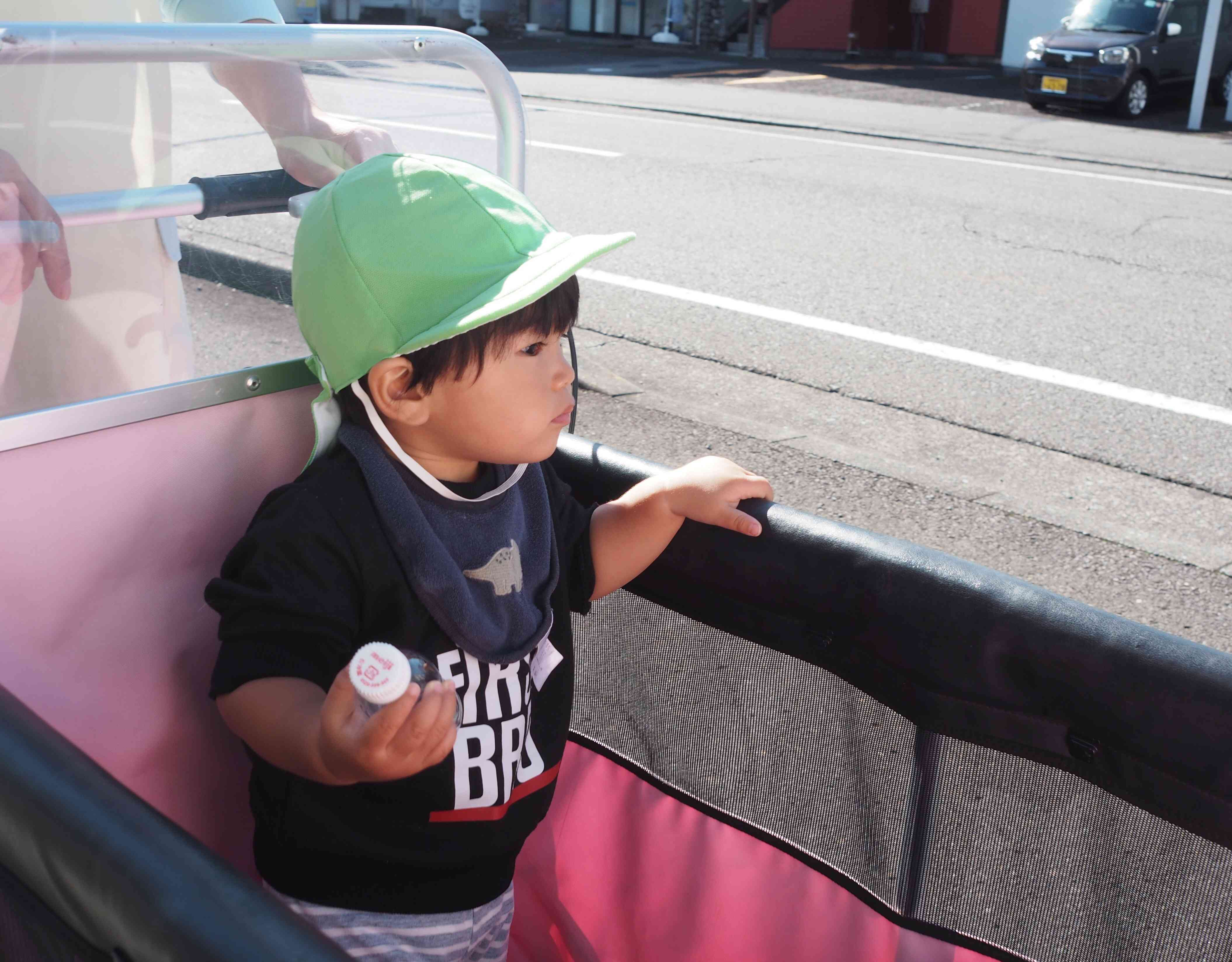 お散歩中にすれ違う車に興味津々です。