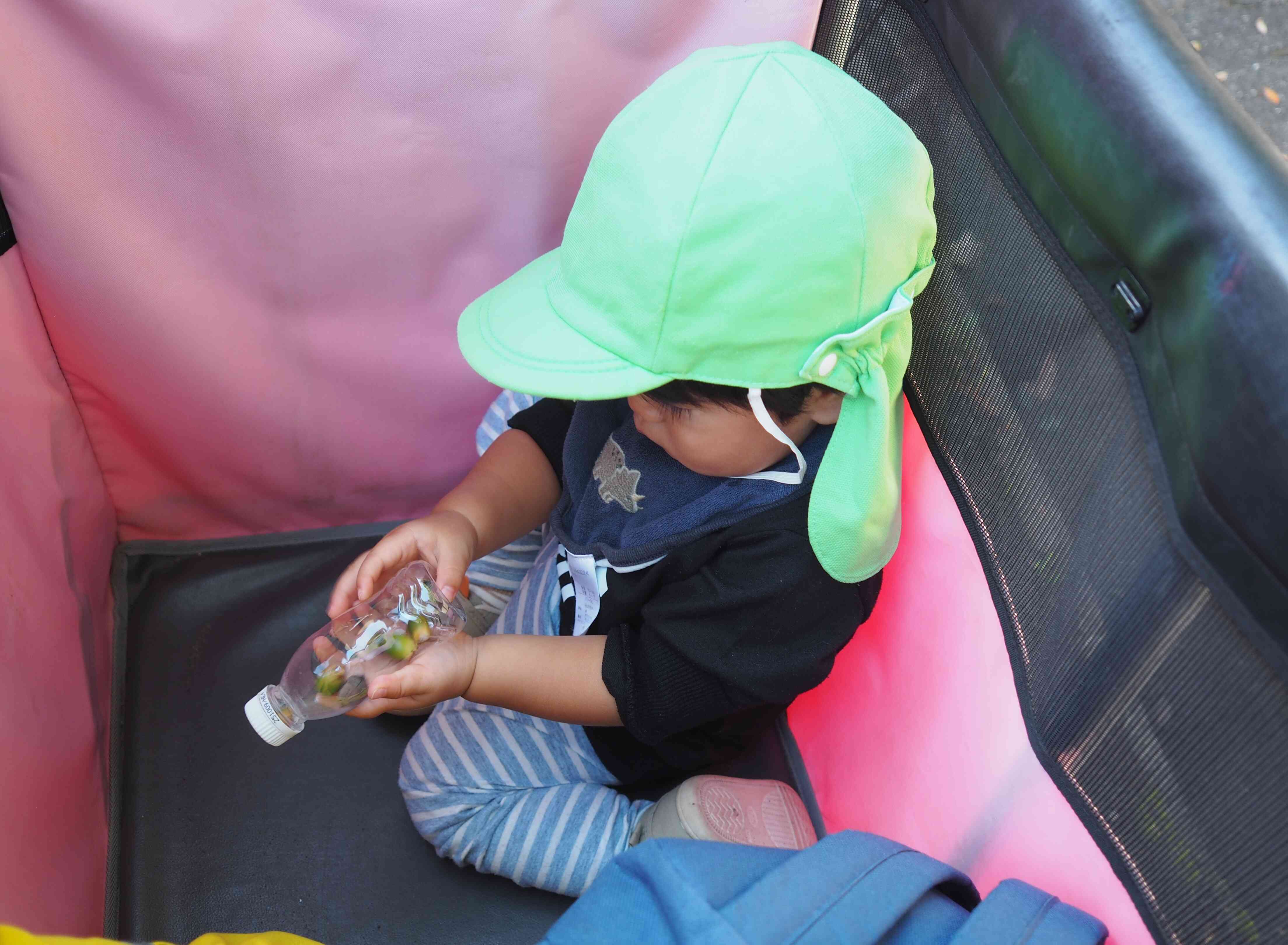 どんぐりの入ったおもちゃになりました