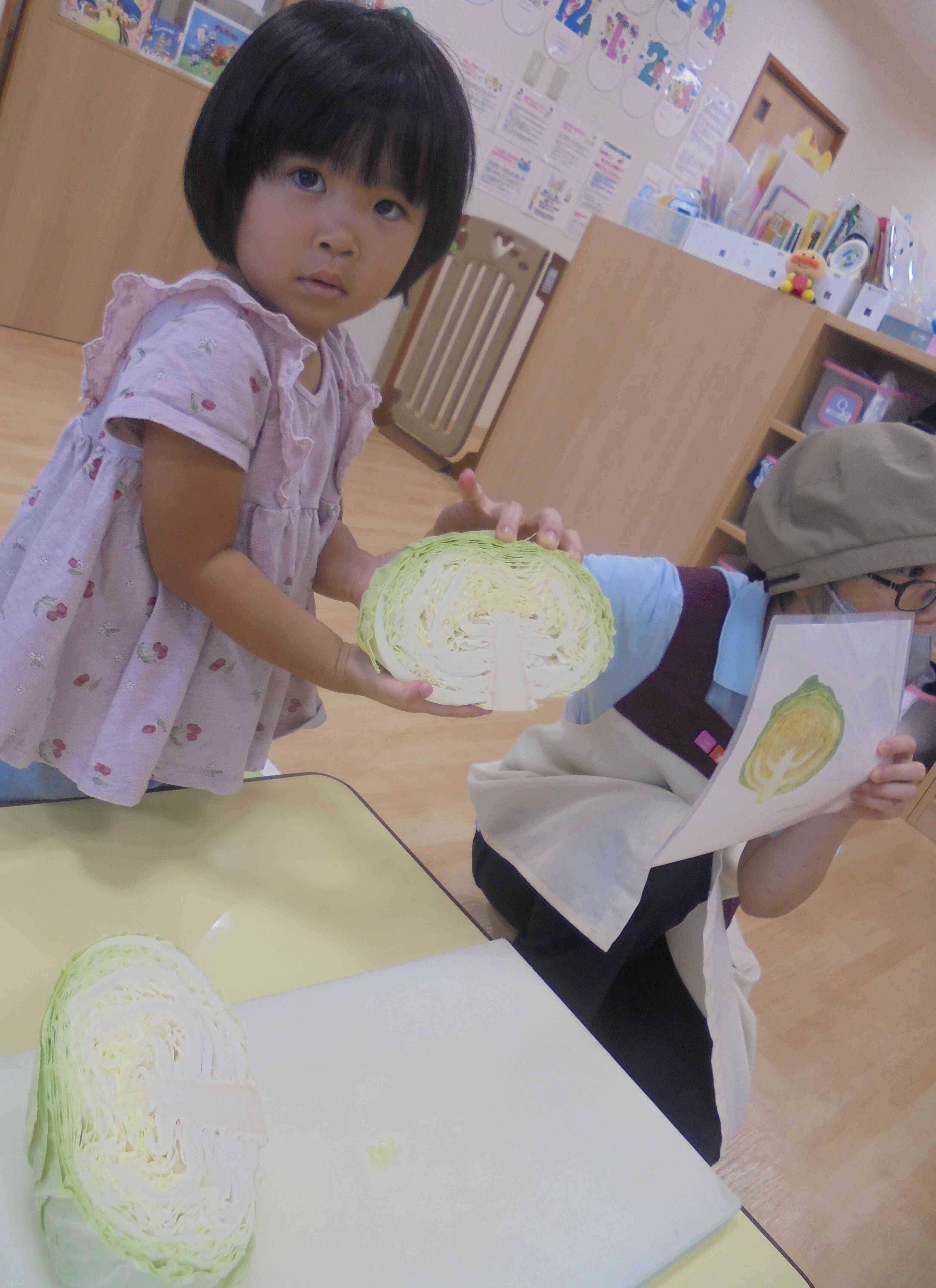 食育（キャベツちぎり）