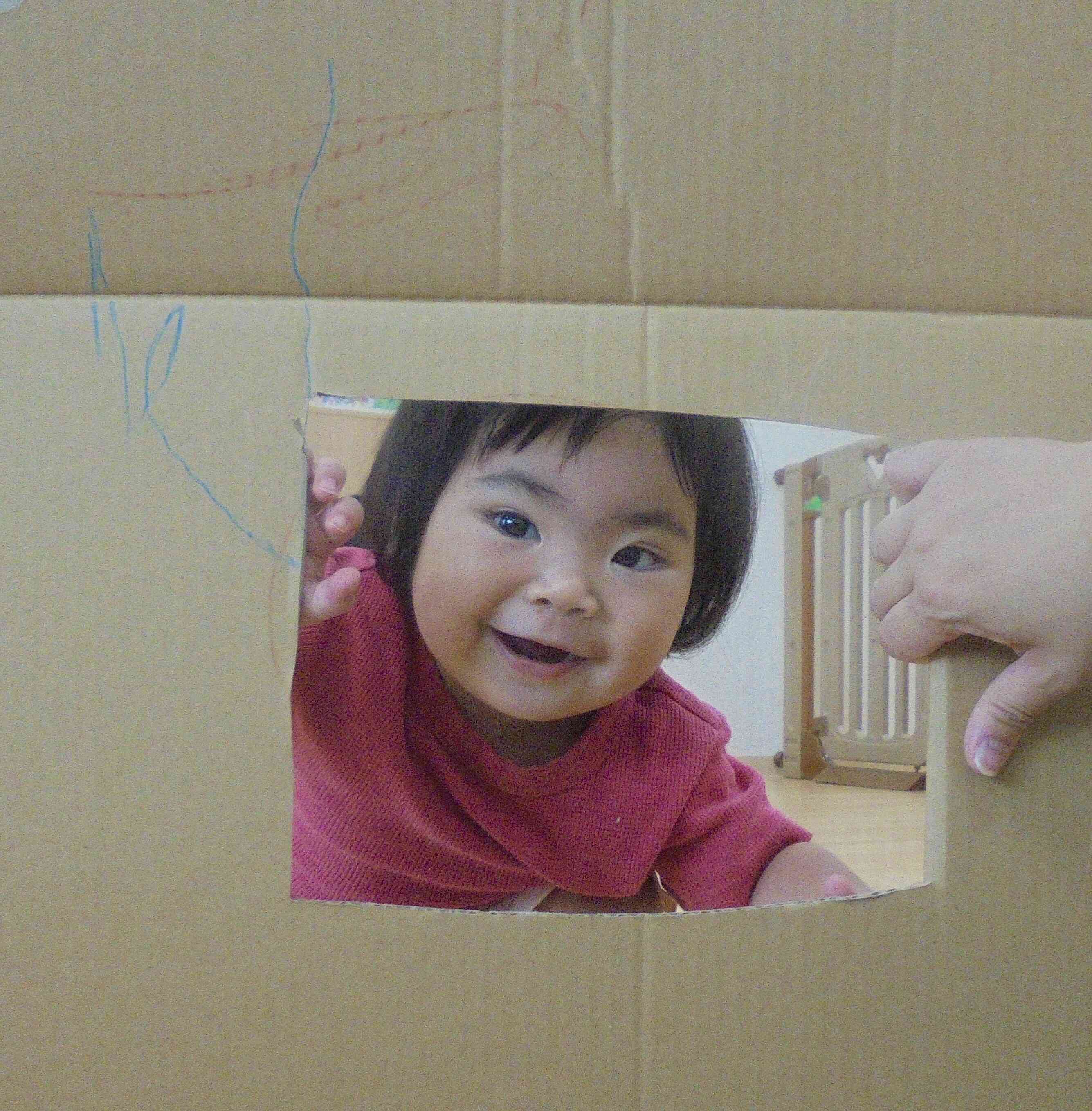 いた～！