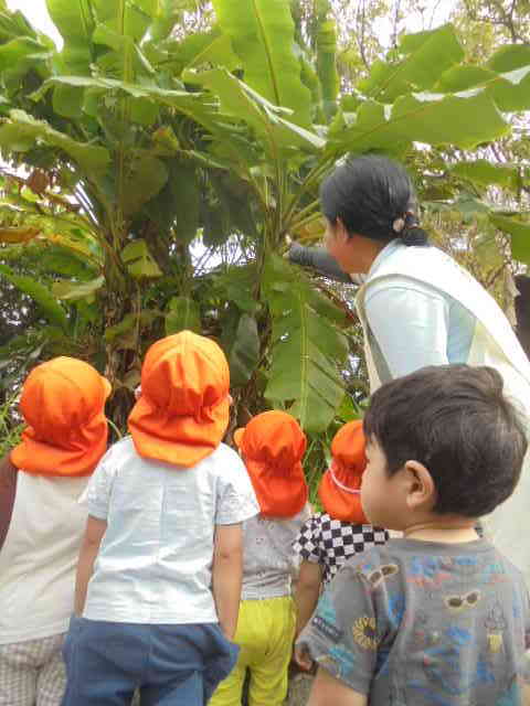 バナナみつけたよ！