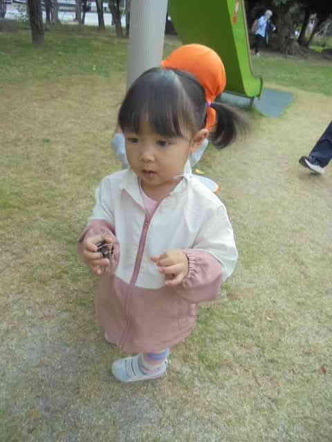 松ぼっくりみーつけた！