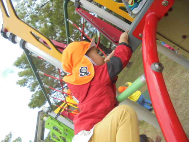 「登る力」と「考える力」