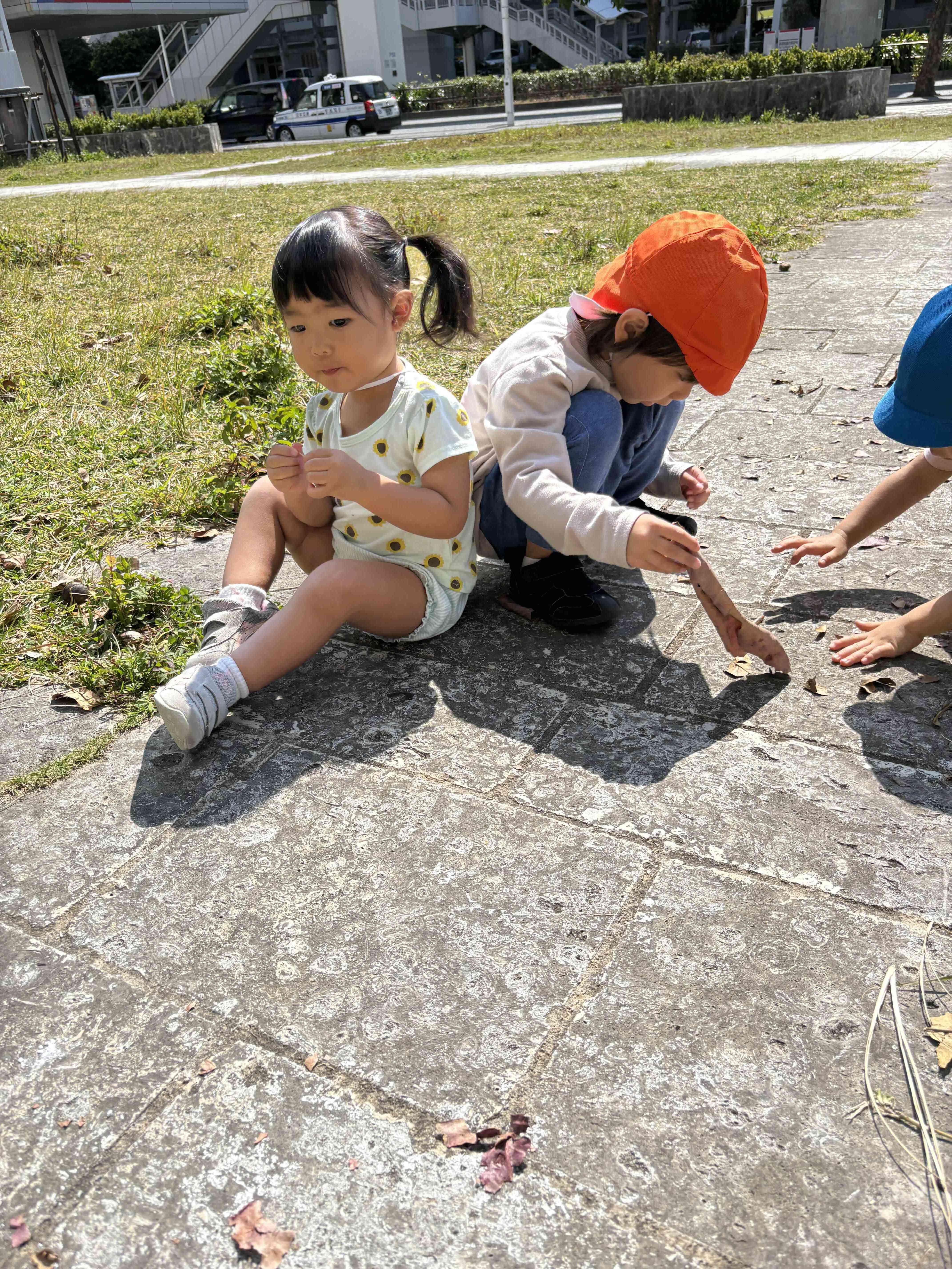 いつも隣にぴたっとくっついてます（安心感）