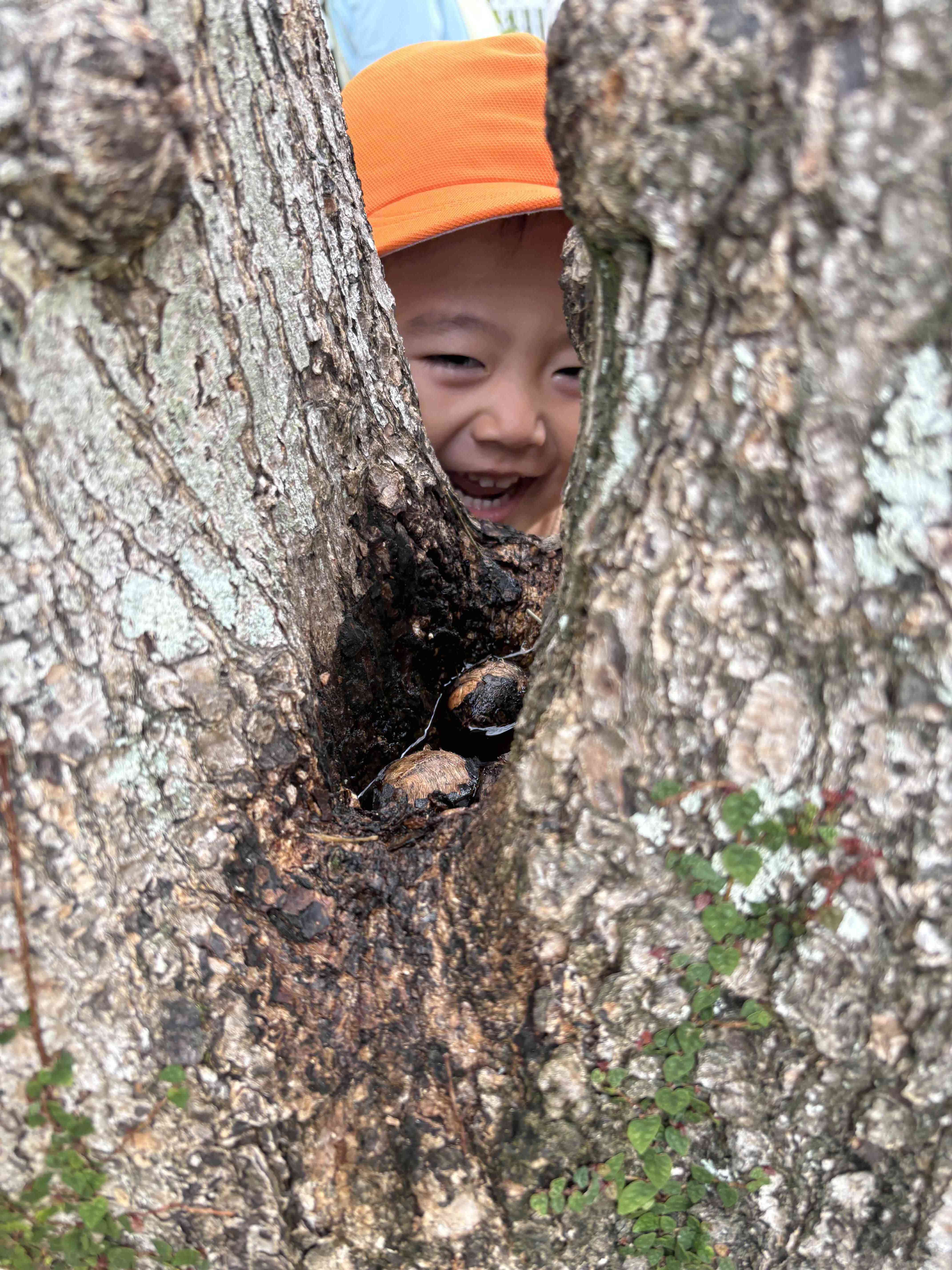 こっちだよ～！