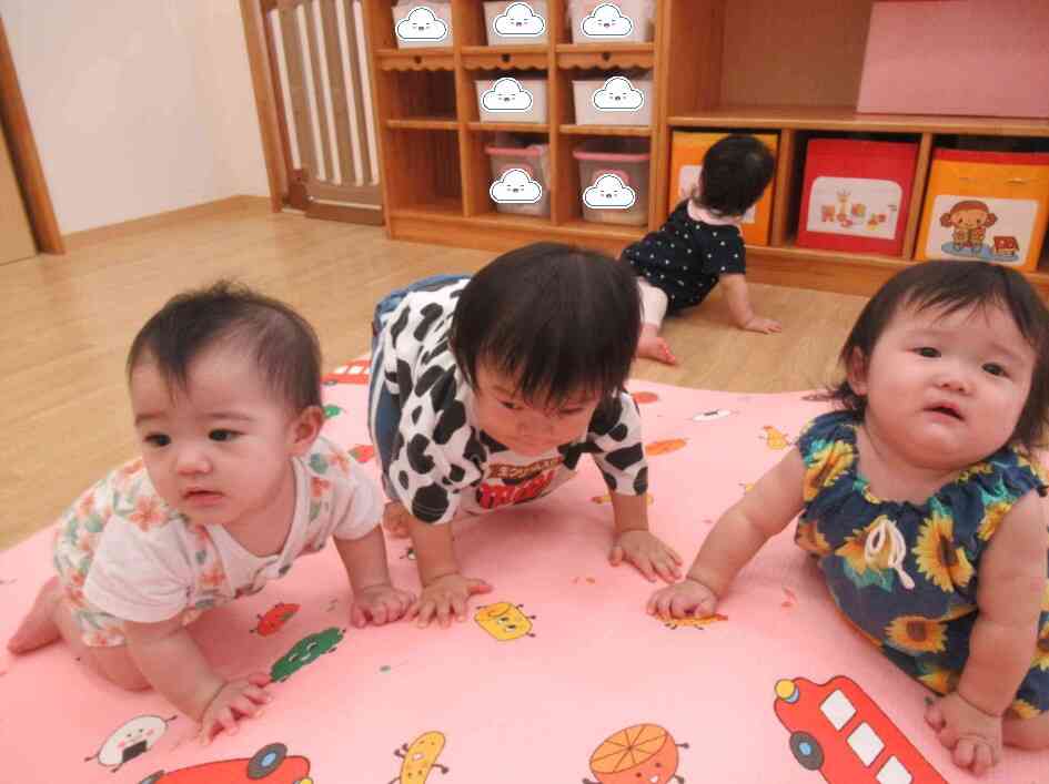 ひよこ組ちゃん仲良くね