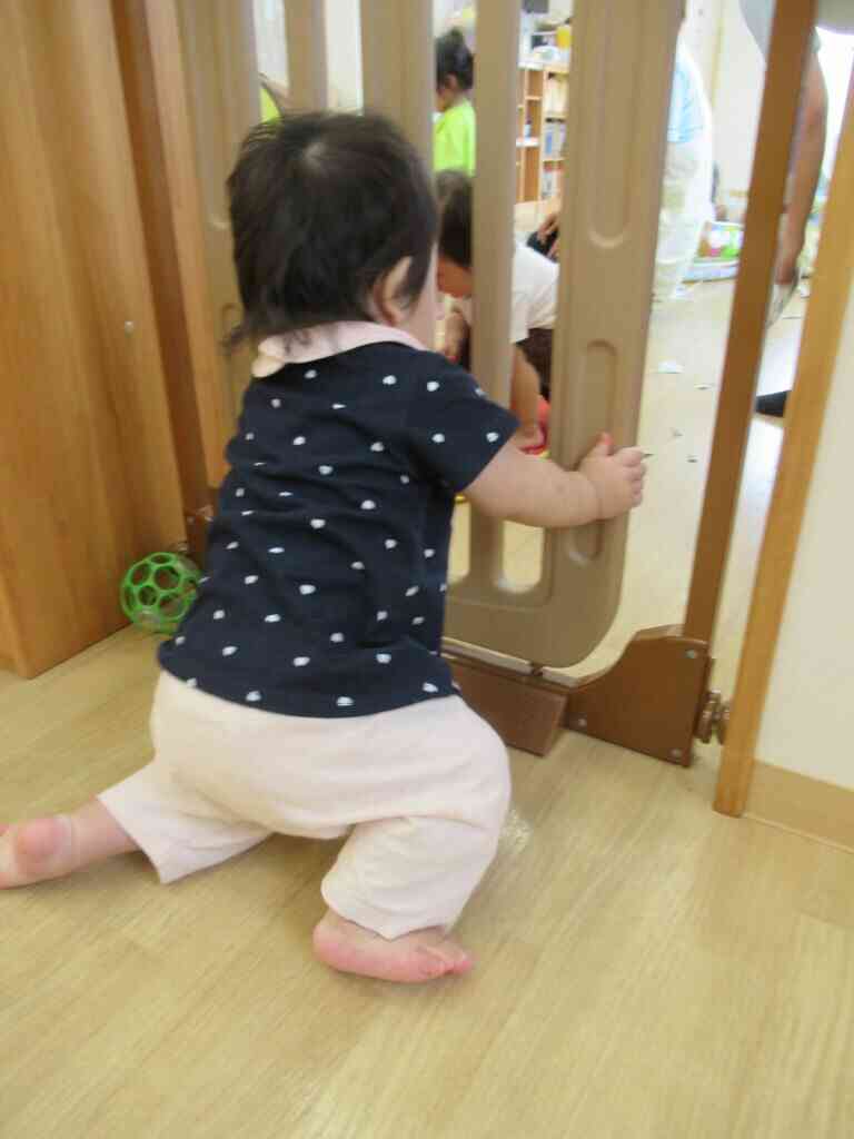 かわいい( *´艸`)