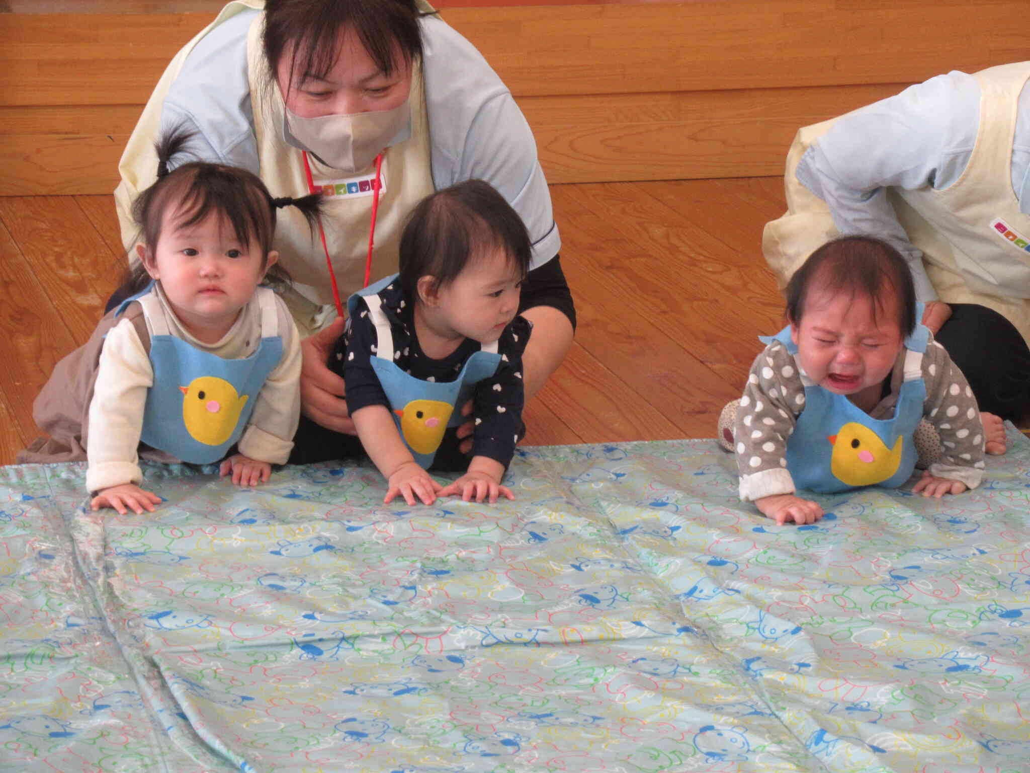 ０歳児ひよこちゃん☆かけっこ