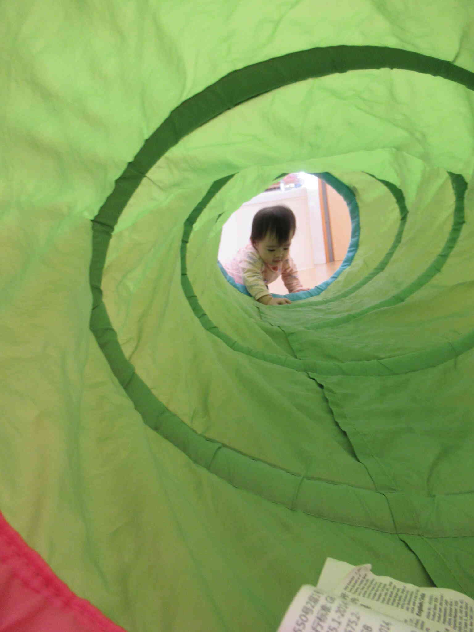 おおーーーーい