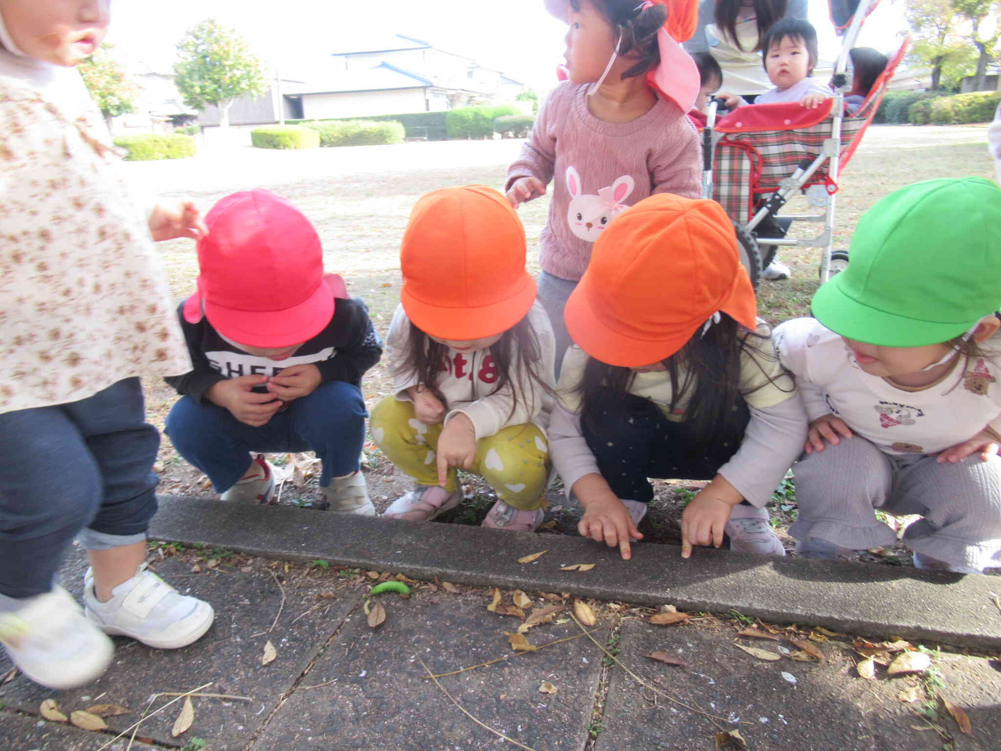 クラス帽が鮮やかに